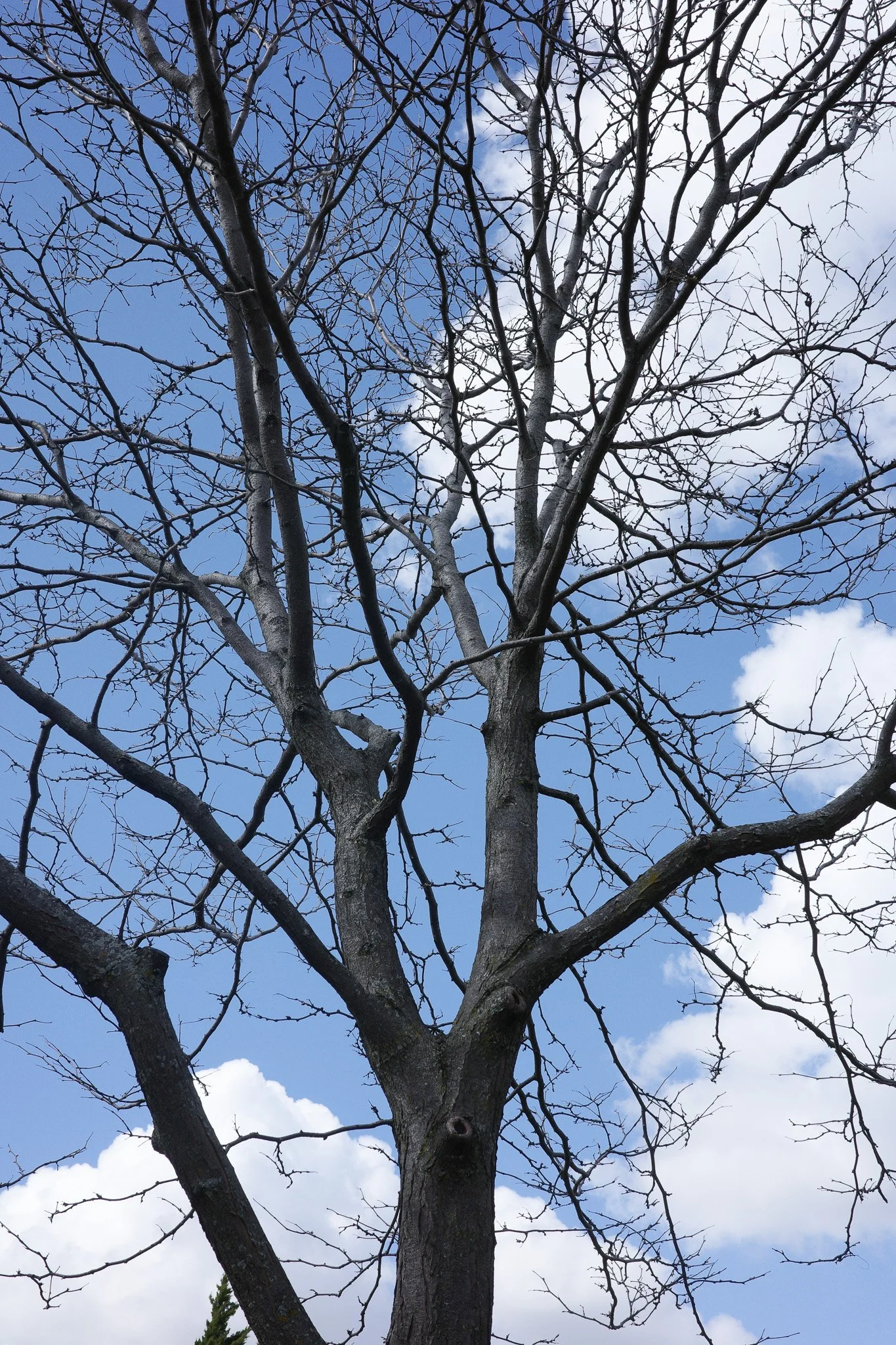 R0005004.jpg
