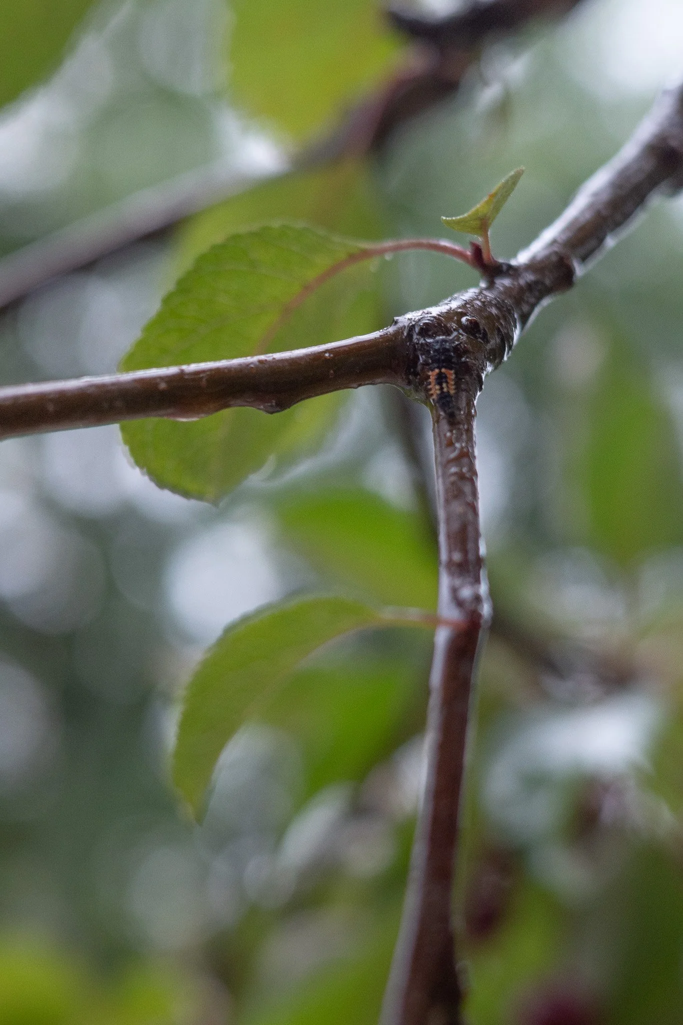 R0005631.jpg