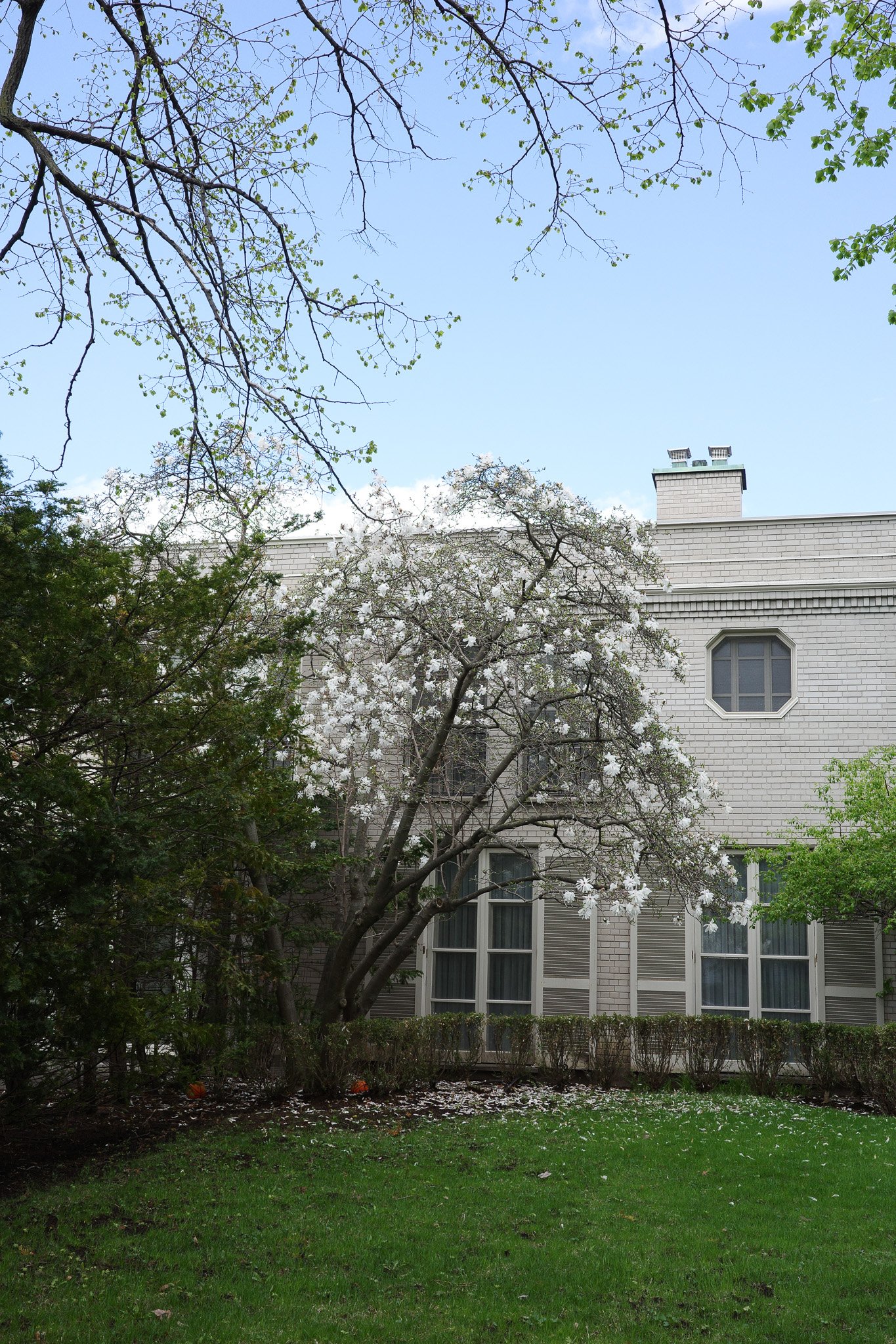 R0004943.jpg