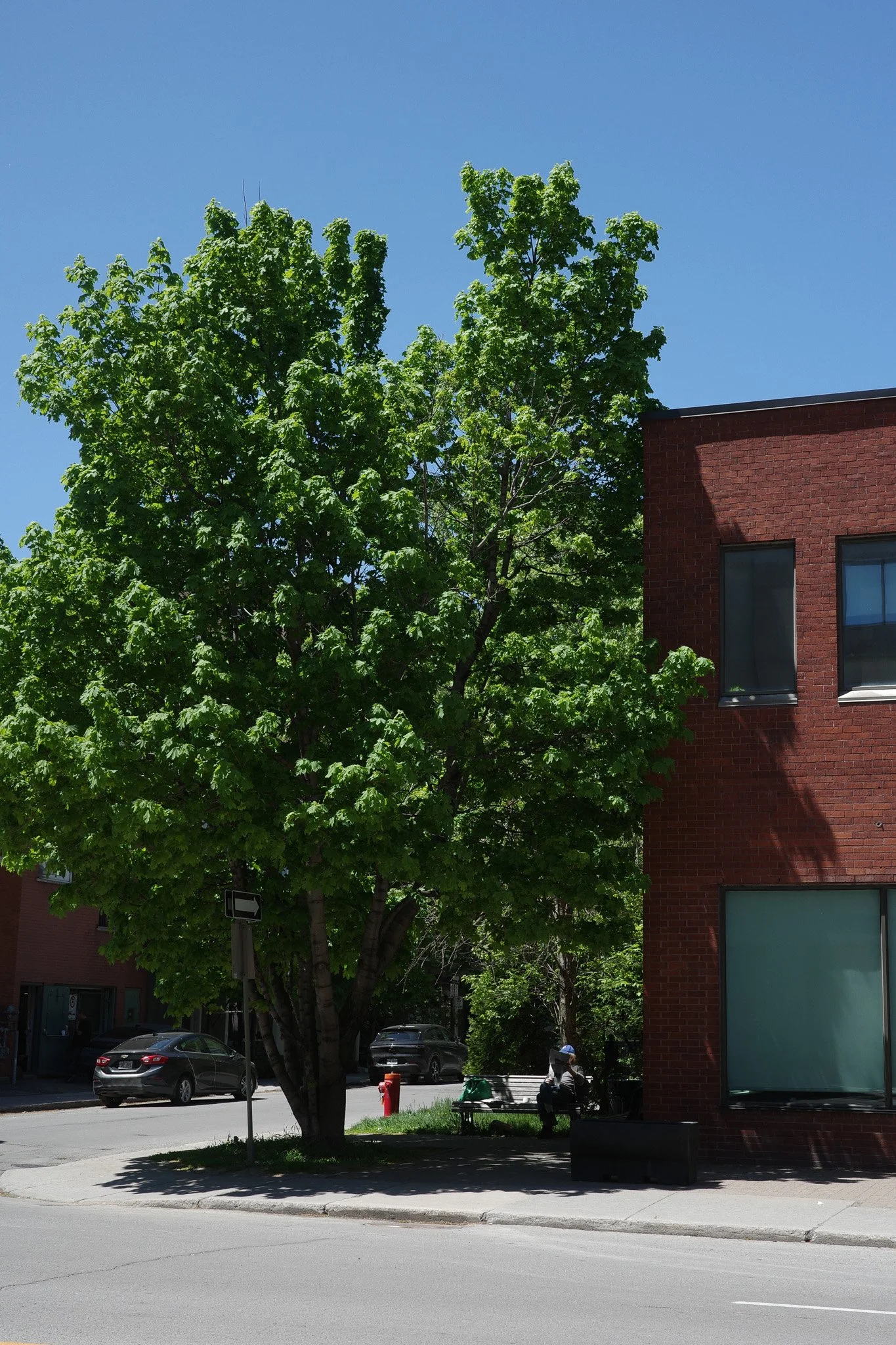 R0005199.jpg