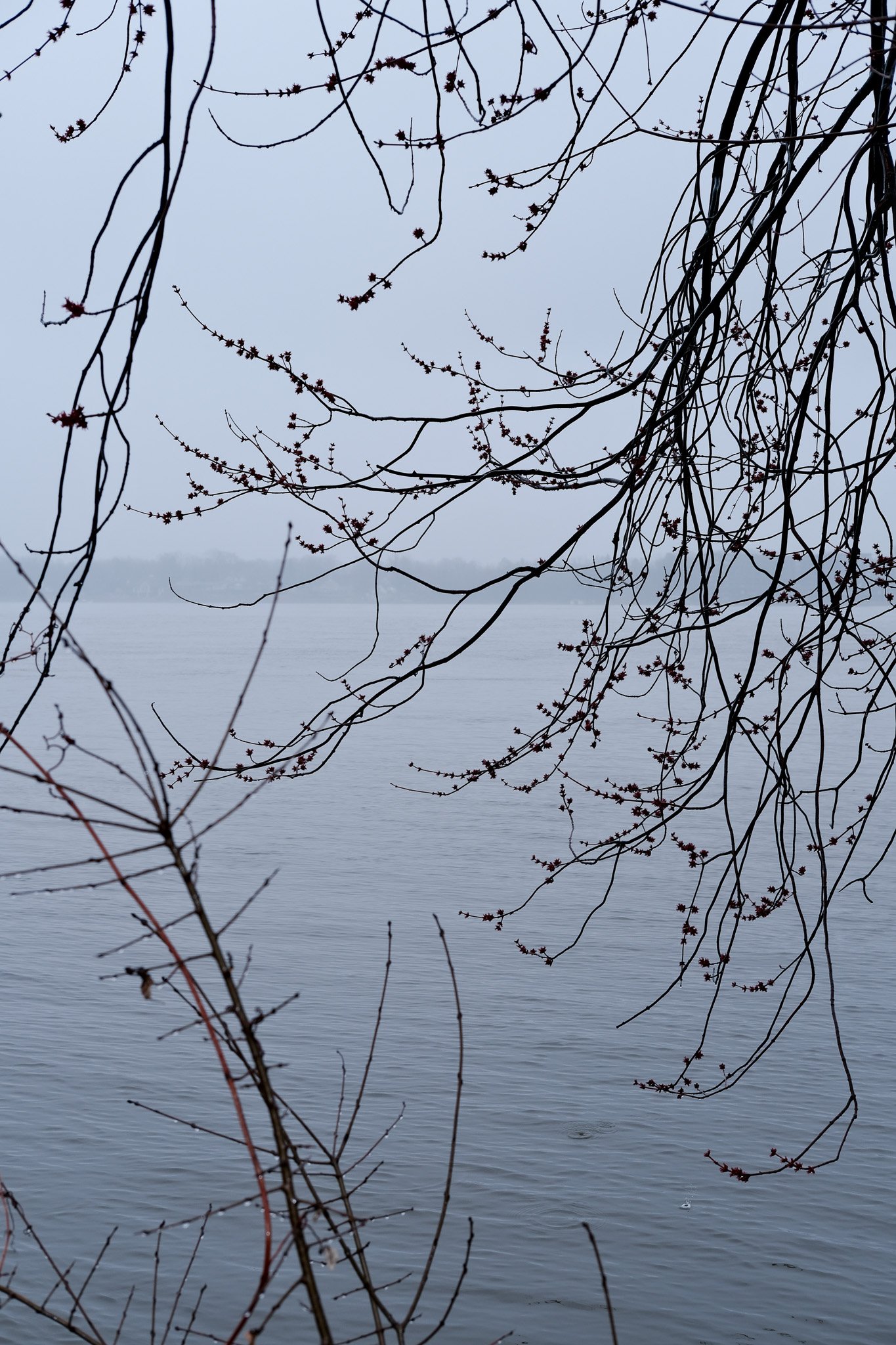 DSCF1861.jpg