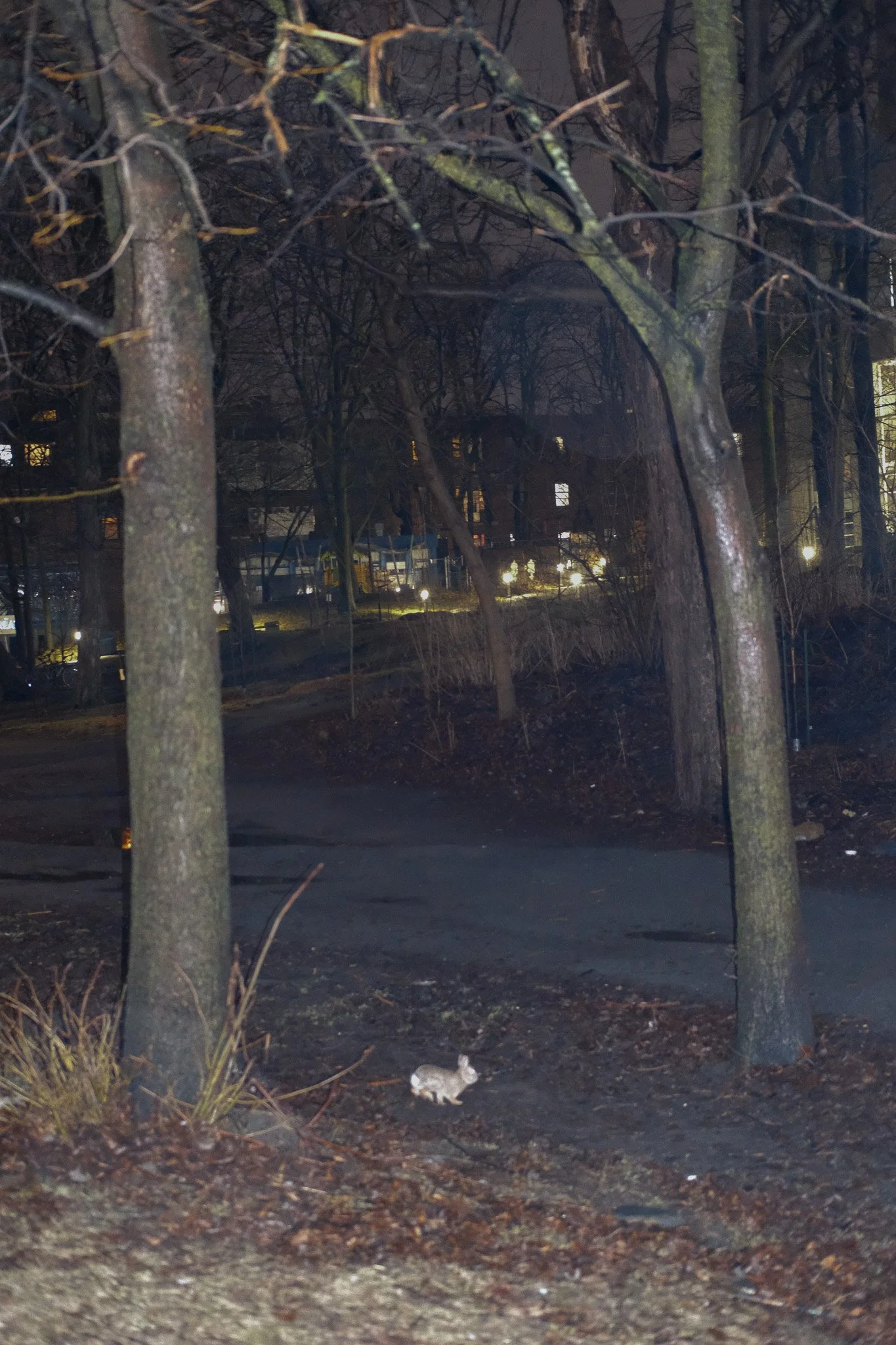 DSCF1815.jpg