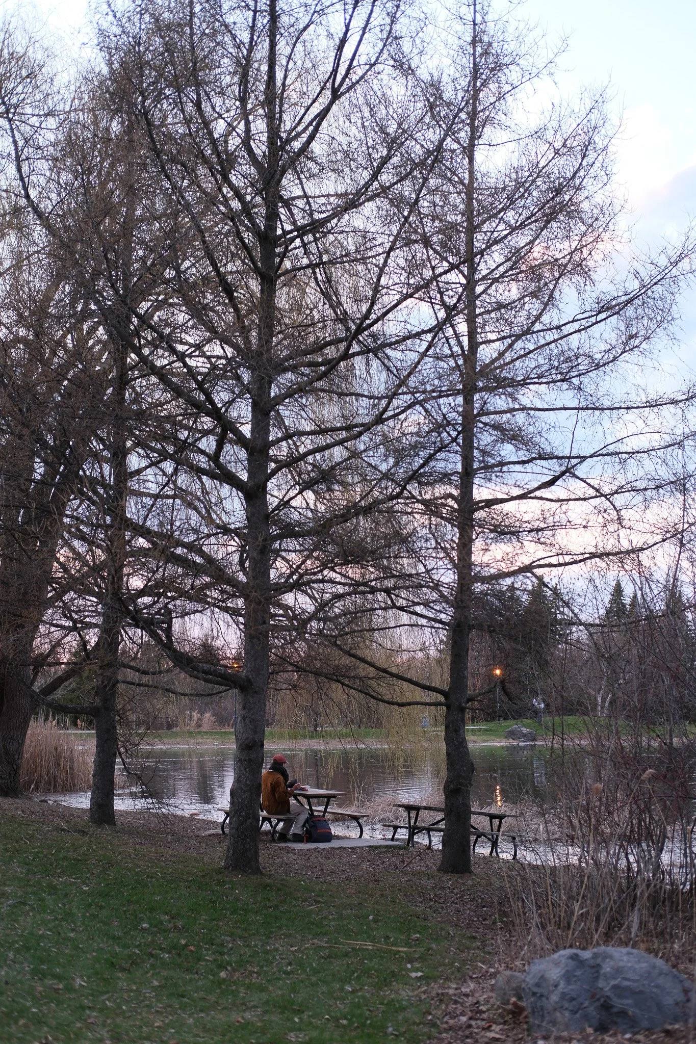DSCF1977.jpg