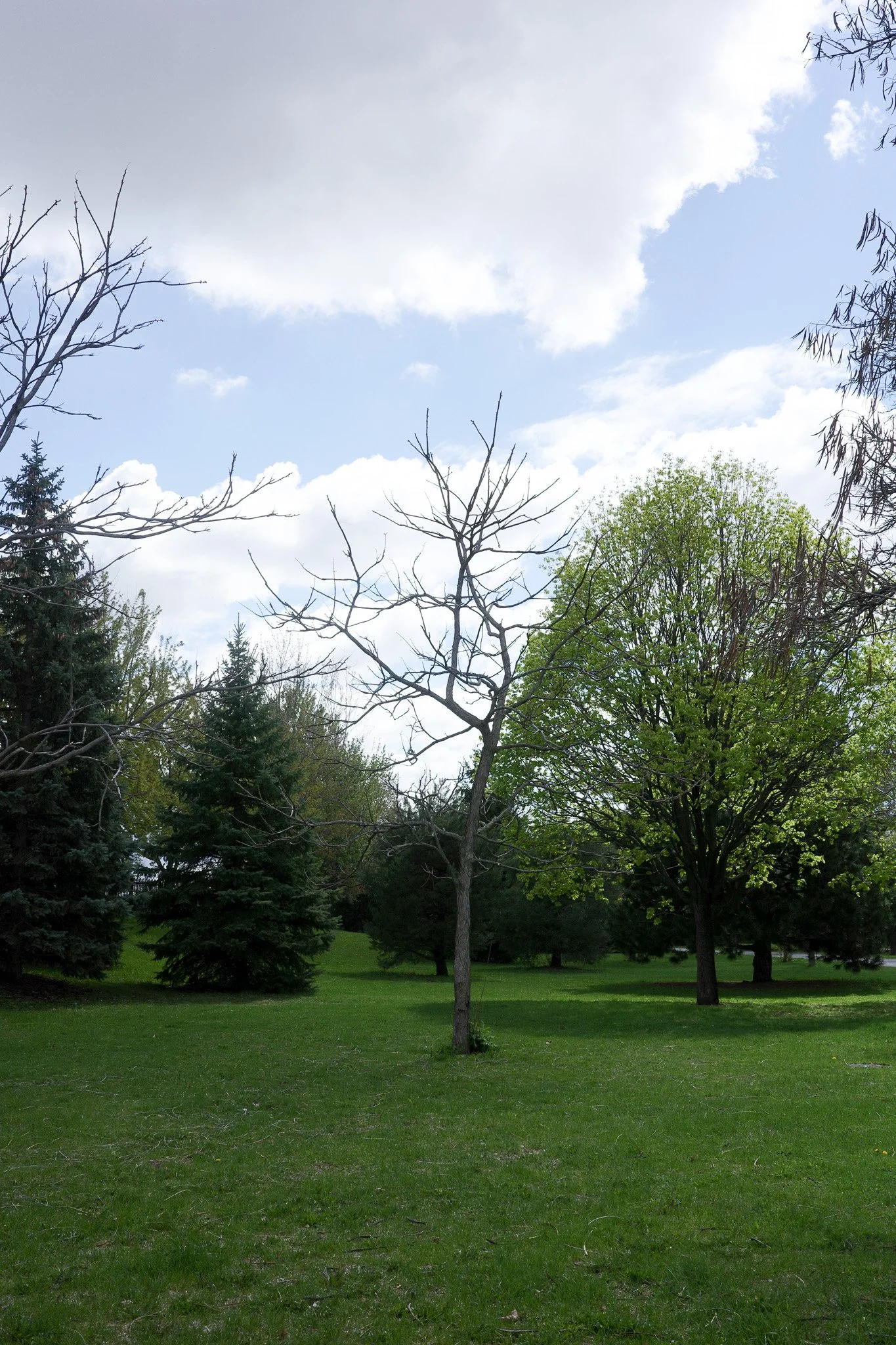 R0005006.jpg