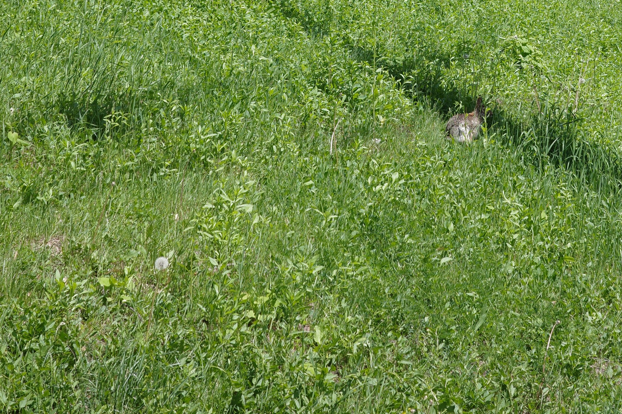 R0005321.jpg