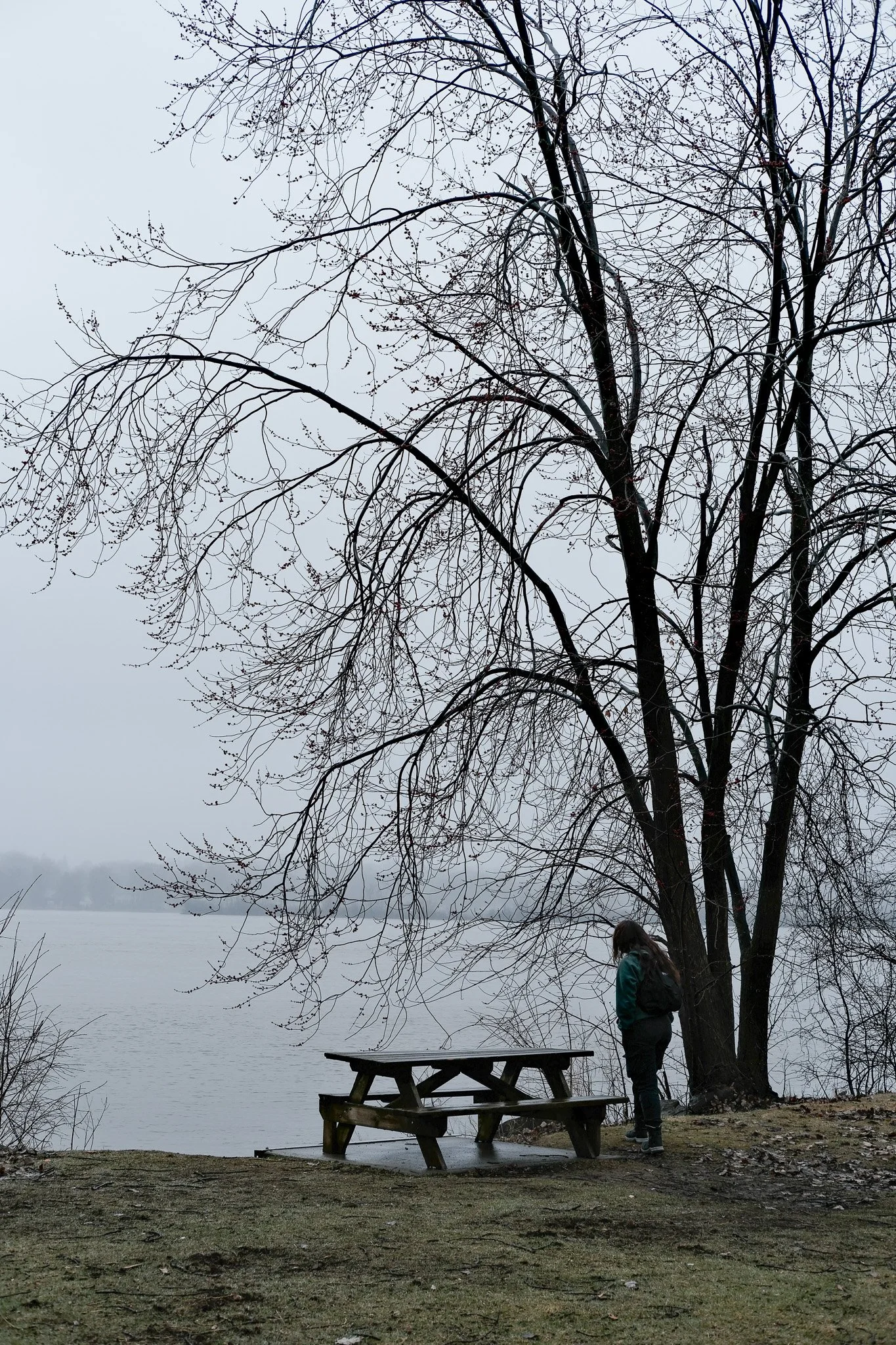 DSCF1850.jpg