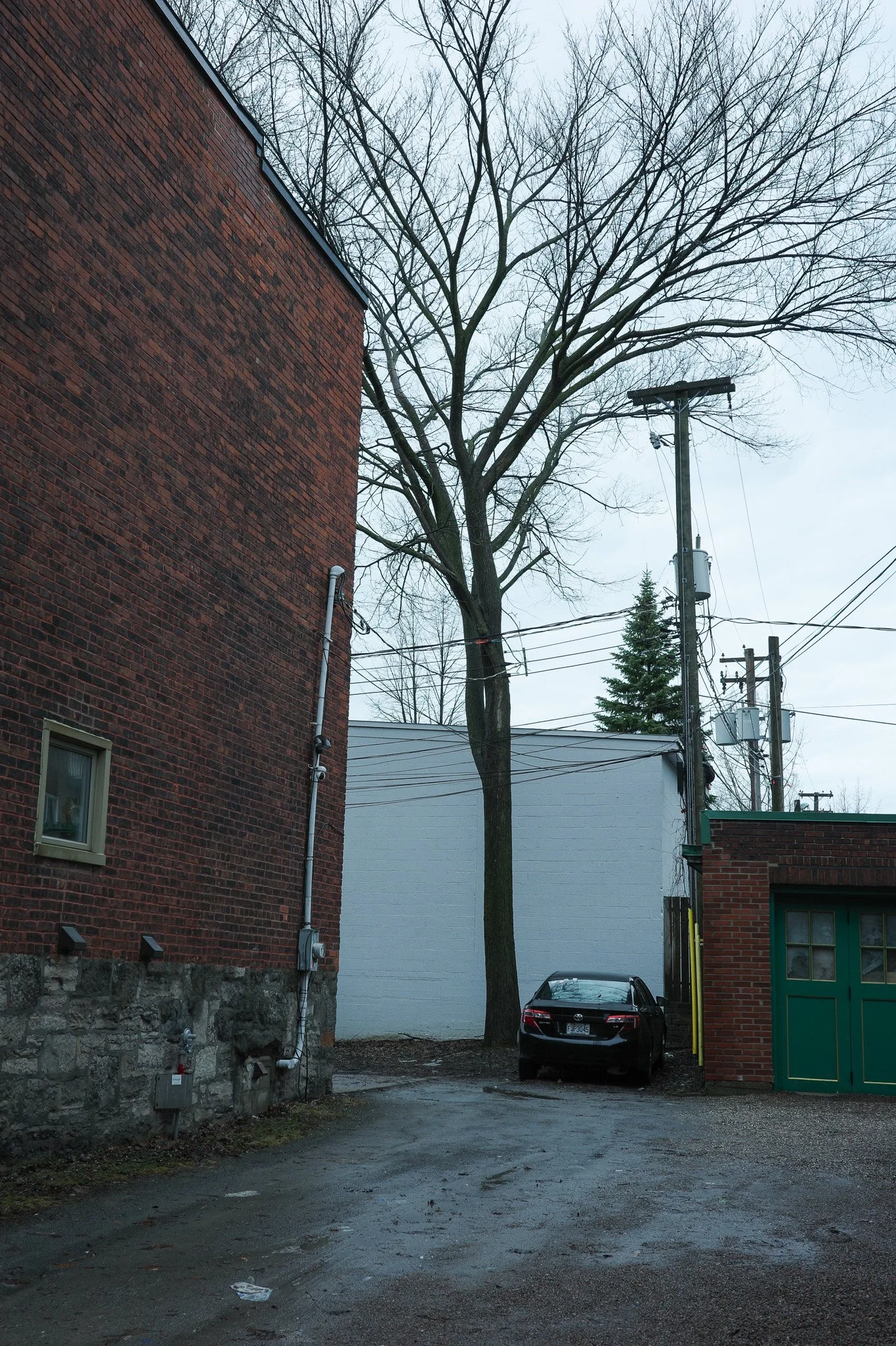 R0004785.jpg