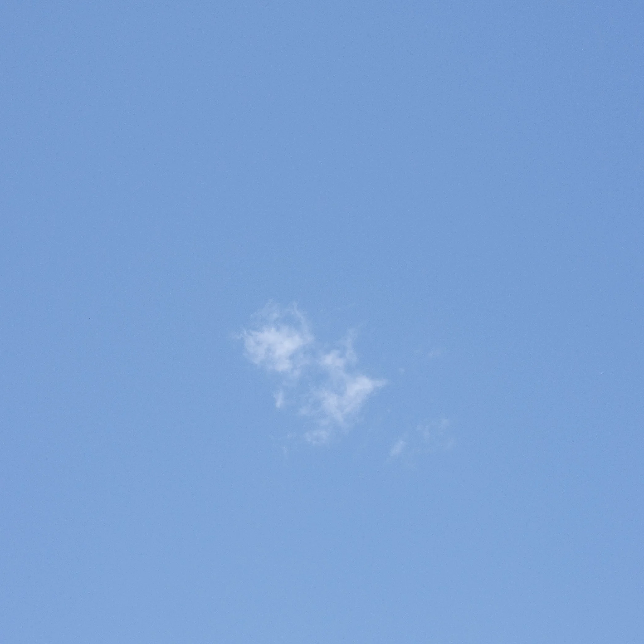 R0005292.jpg