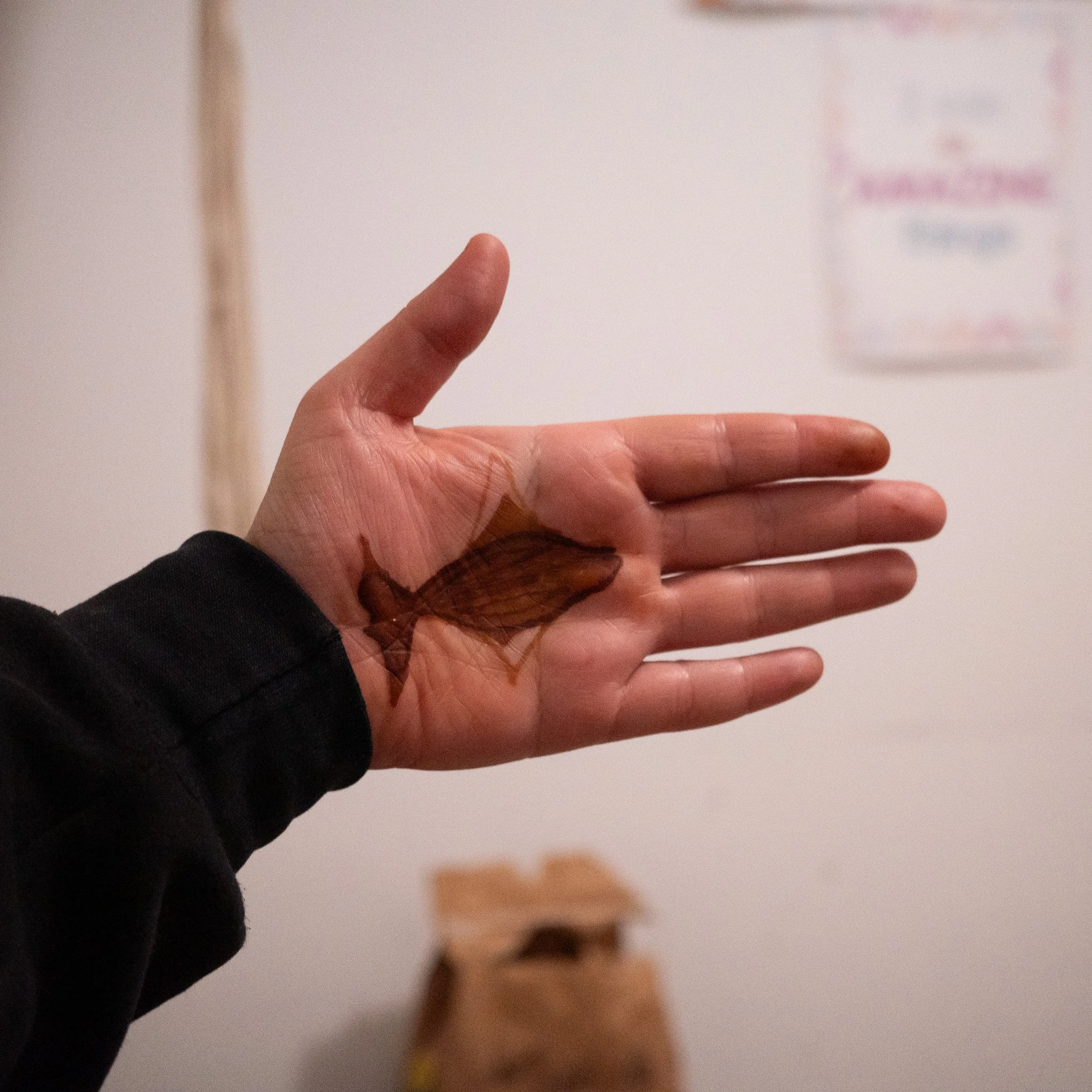 Saturday January 3 Night: Sleepover at Sweet's