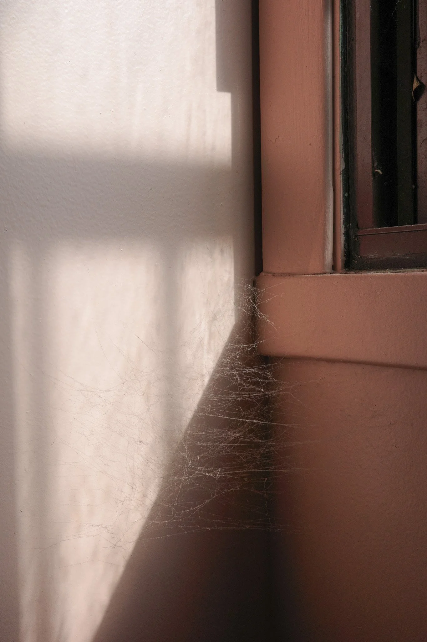 R0005282.jpg