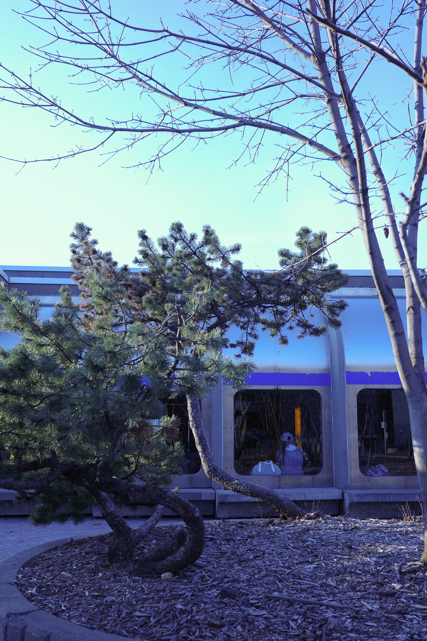 R0004832.jpg