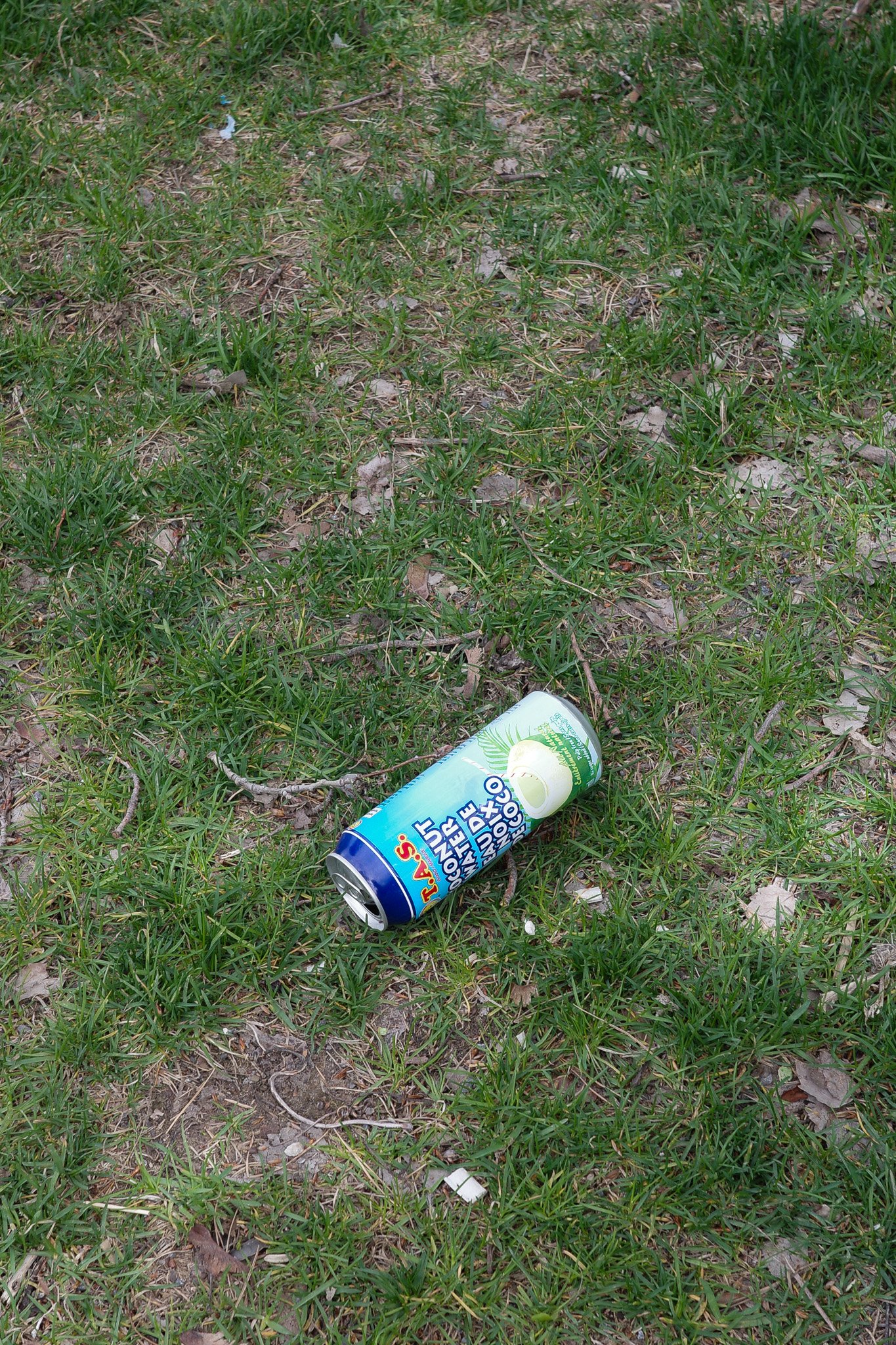 R0005016.jpg