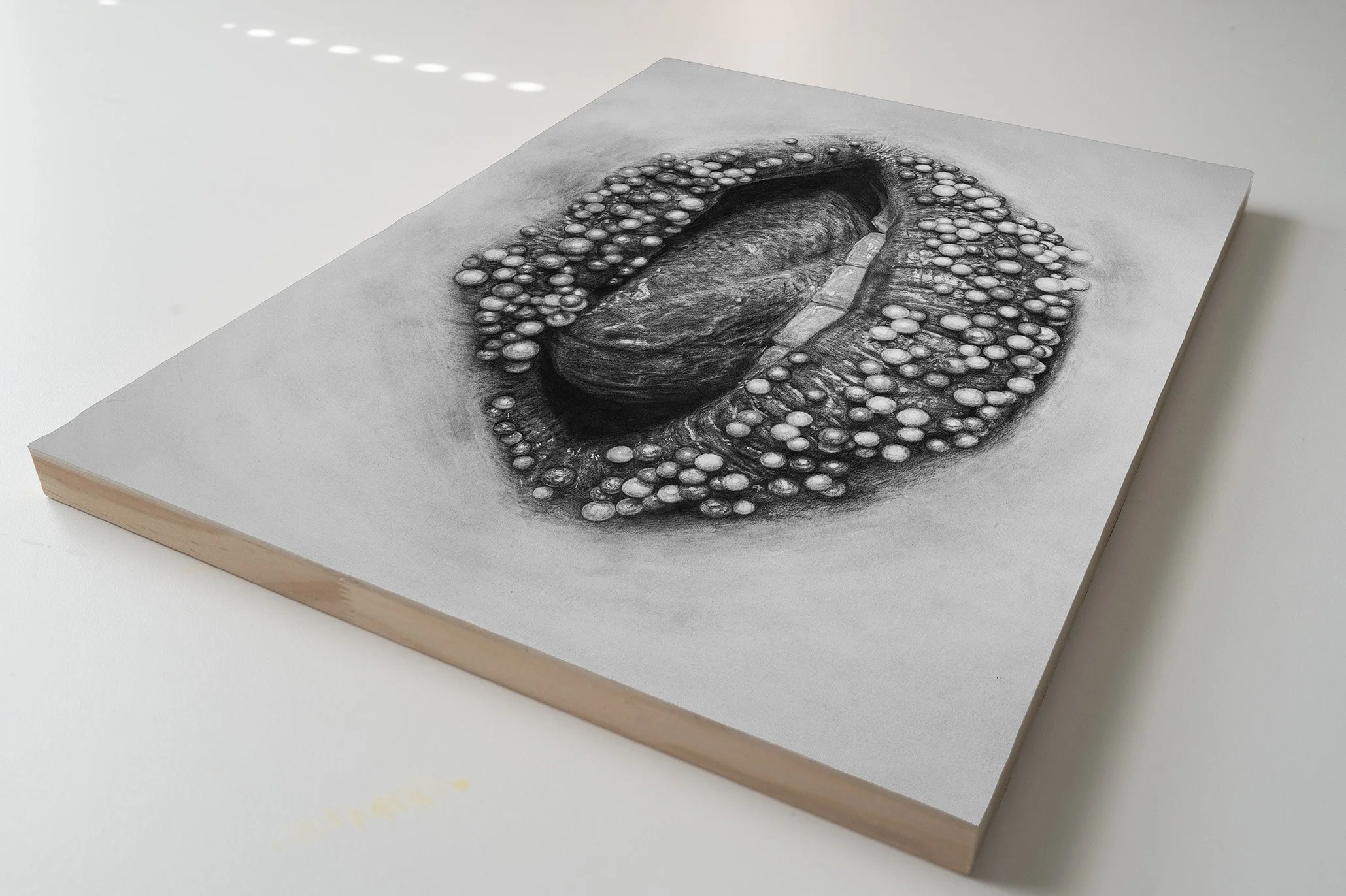 Sprinkle Lips BnW Qrt.jpg