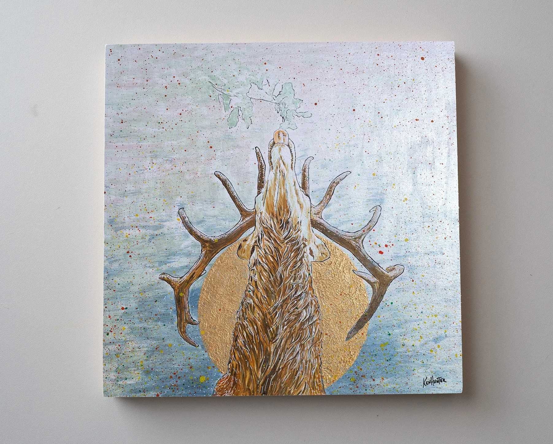 Stag in Morning Sun.jpg
