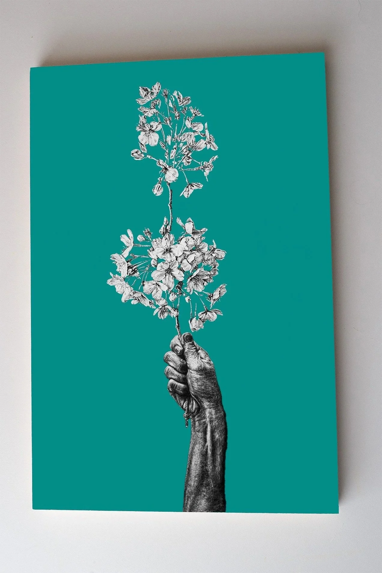 Cherry+Blossom+Color.jpg