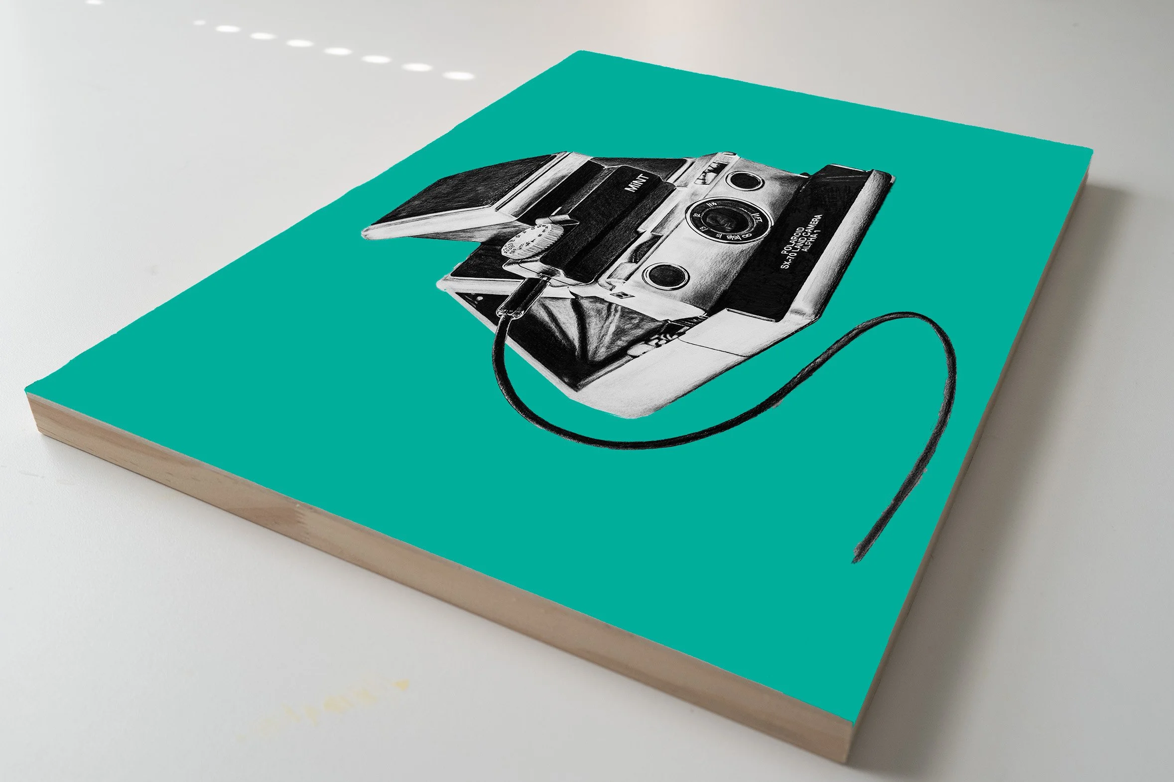 Polaroid Mint Color Qrt.jpg