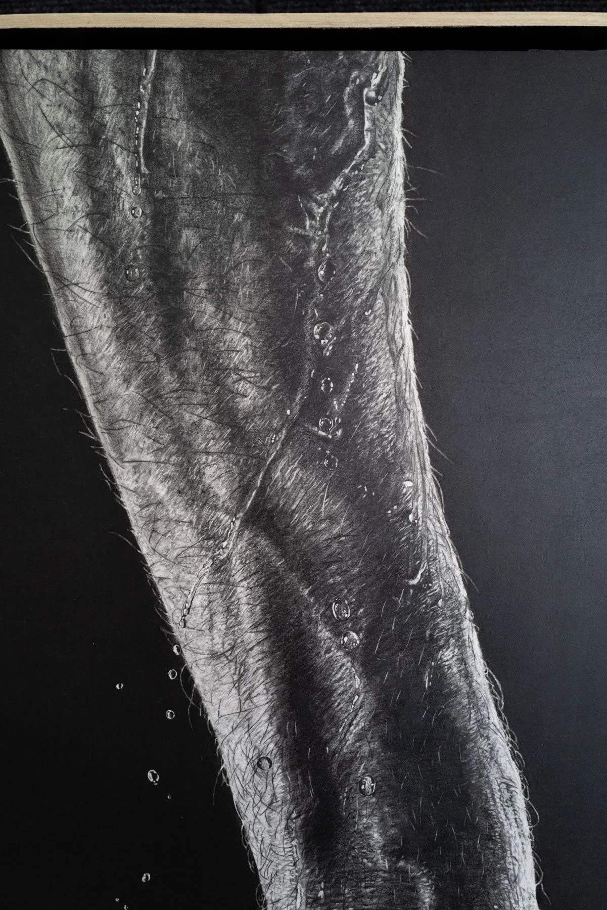 L1130290.jpg