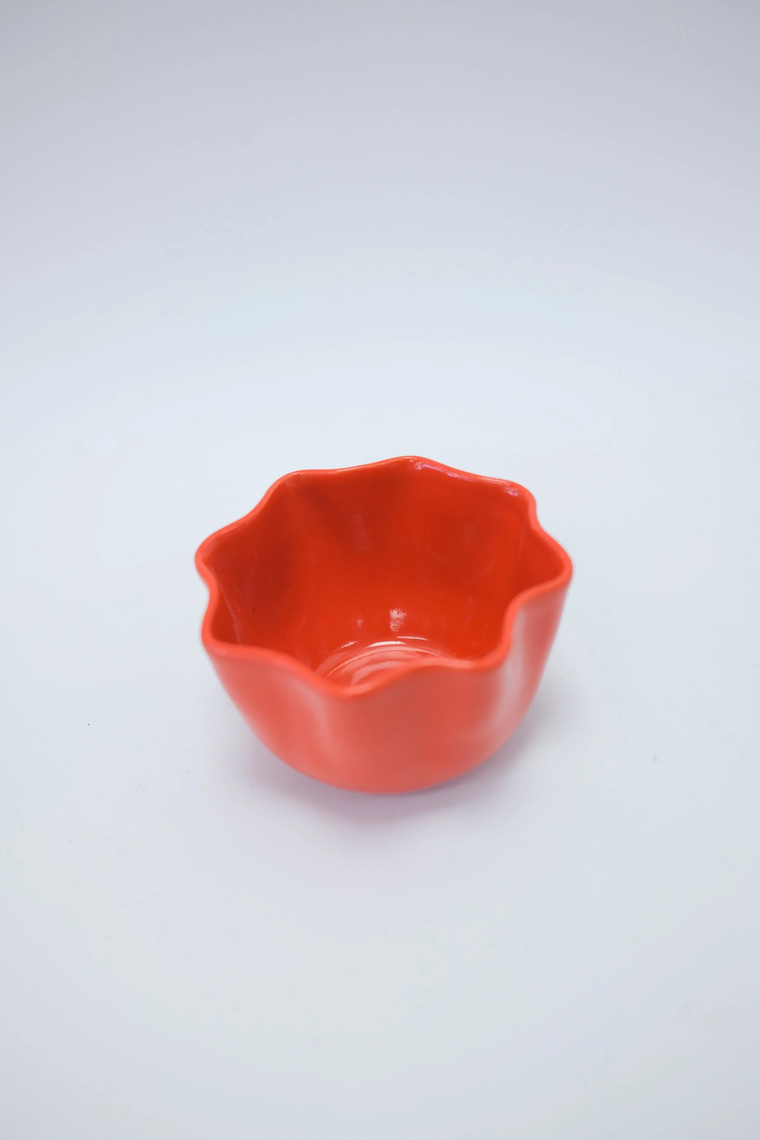 DSCF1358.jpg