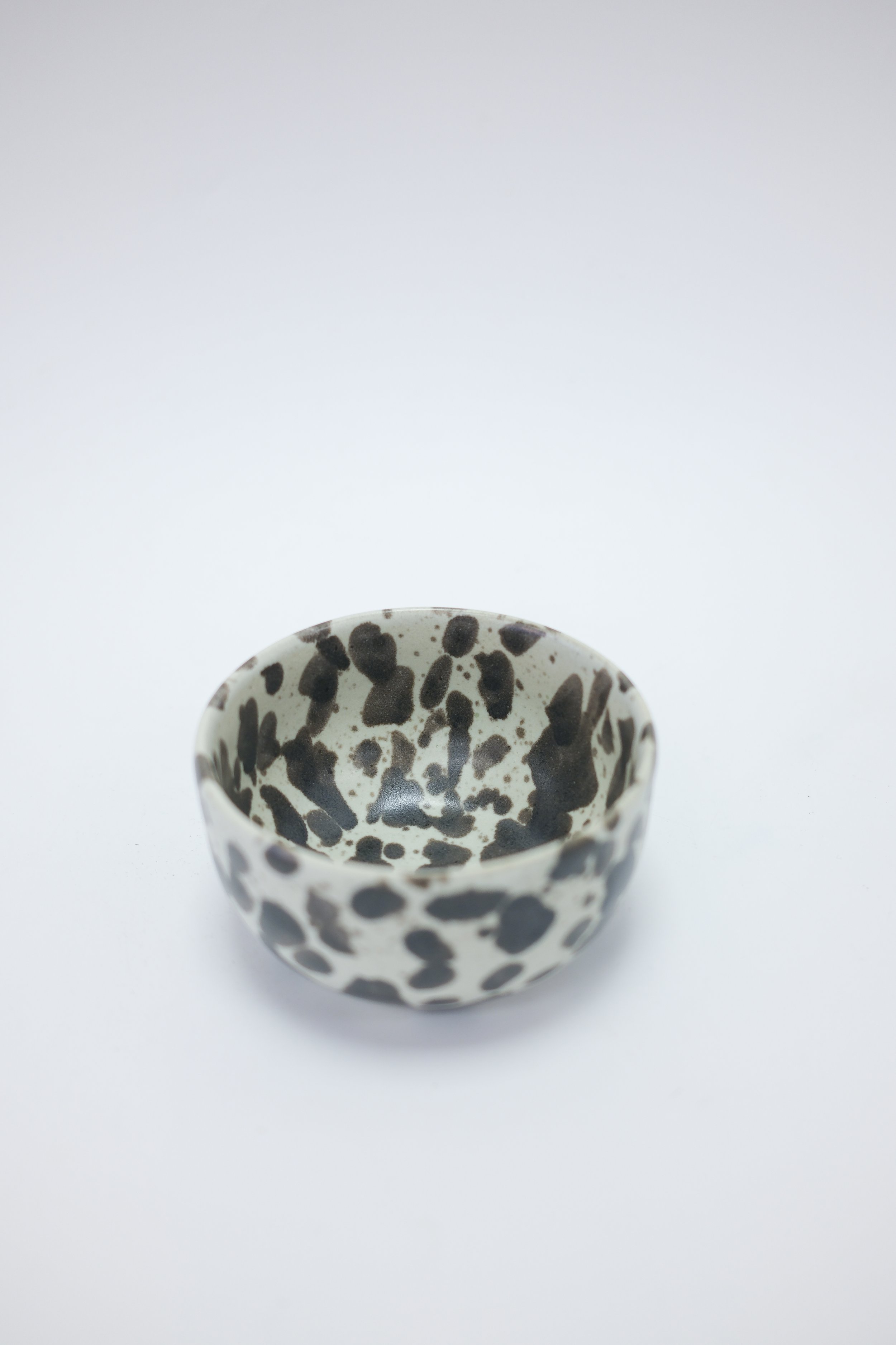 DSCF1493.jpg