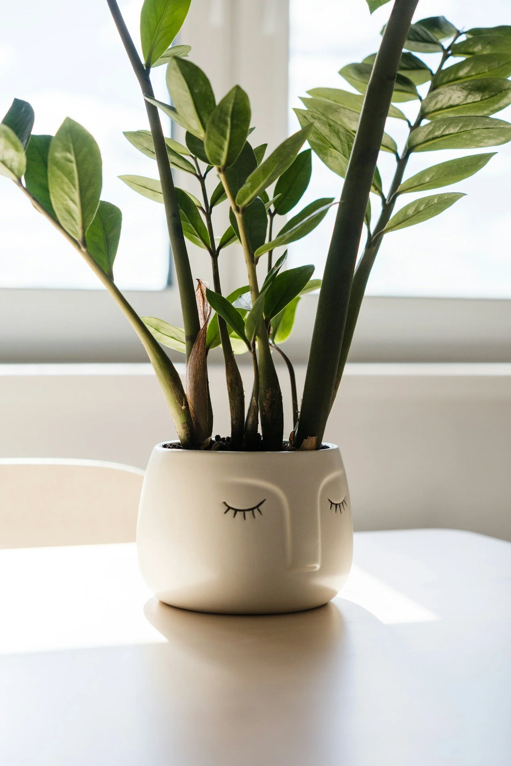 homegrown connected care therapy group