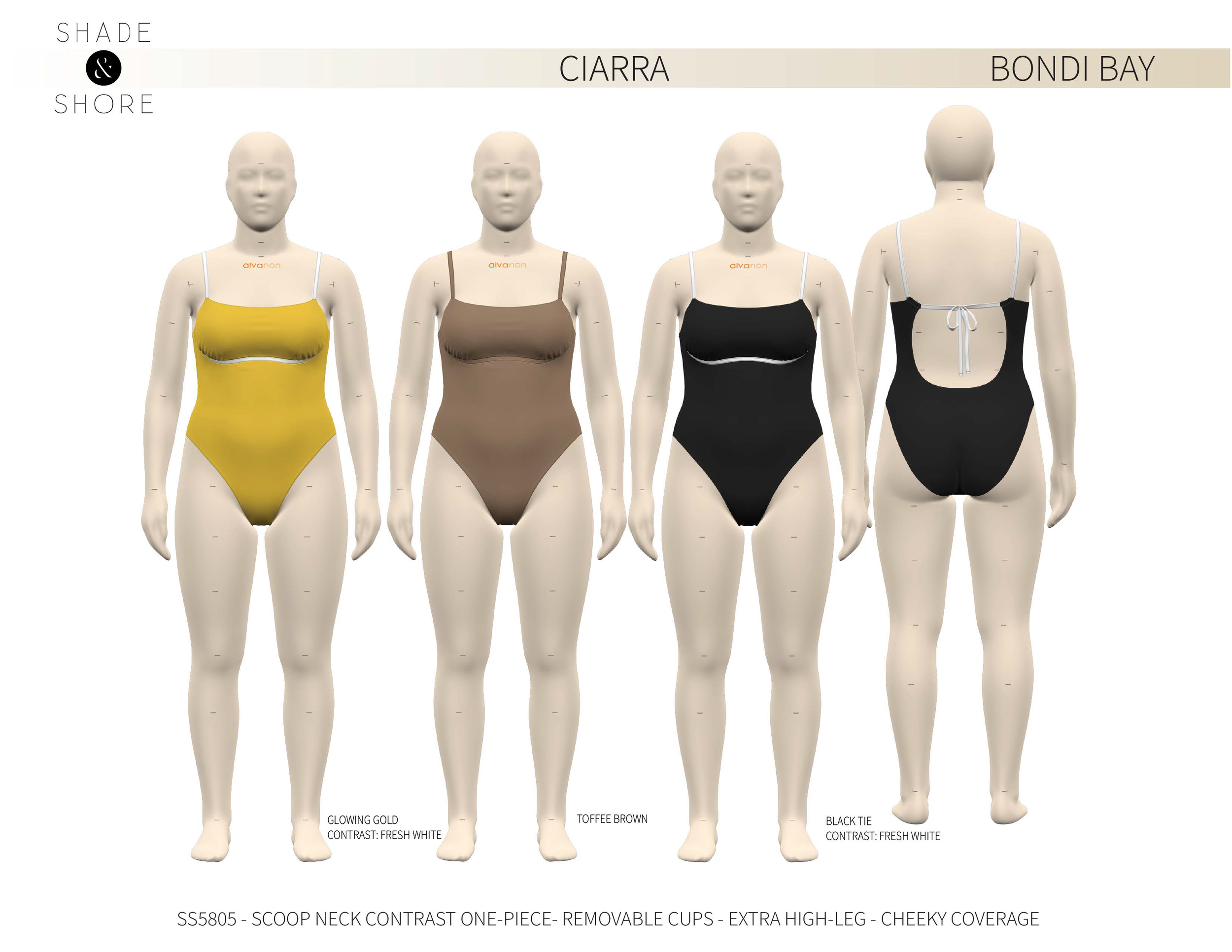 4.1 SHADE AND SHORE PRESENTATION_7.10.23_Page_04.png