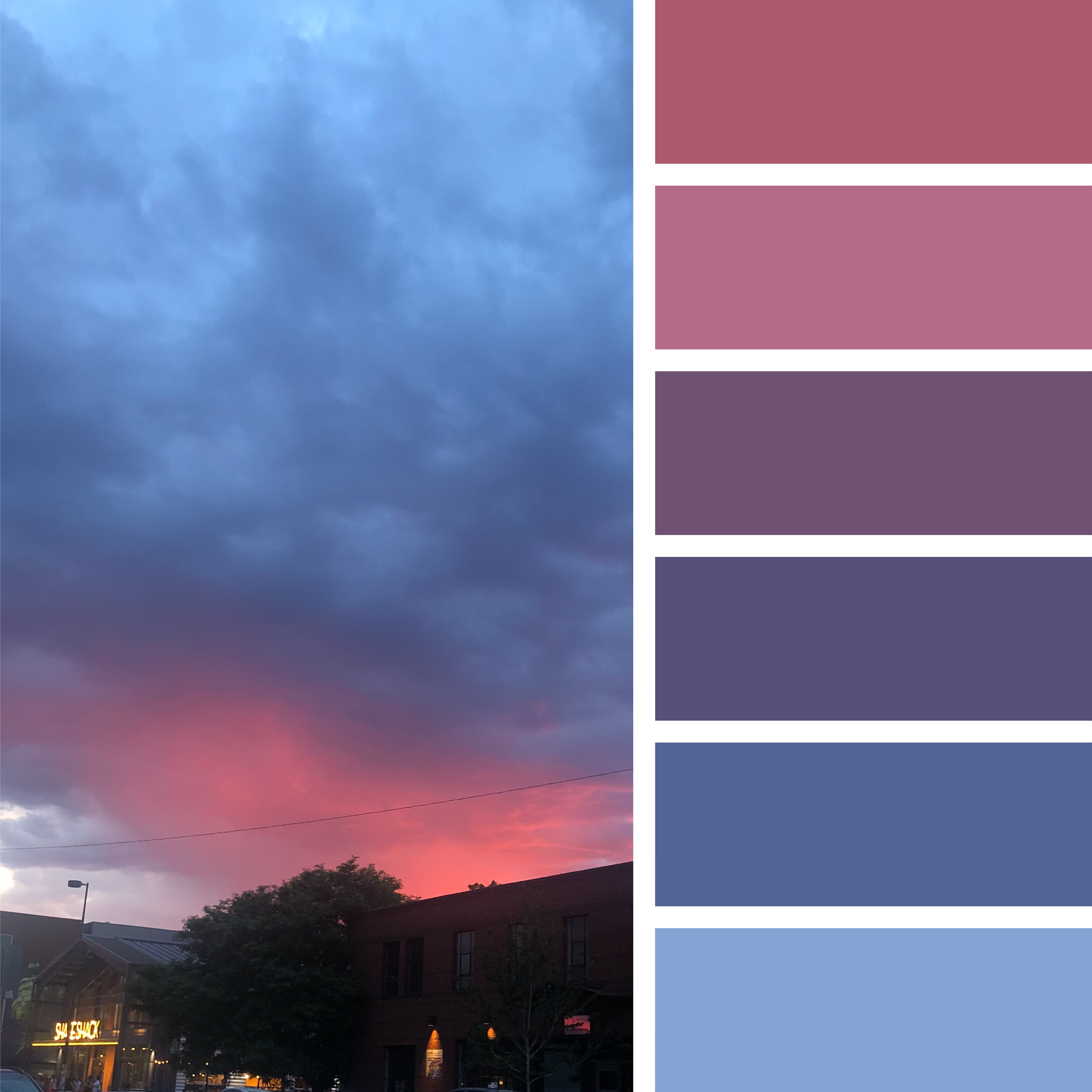 COLOR+TREND EXPERIMENT-08.png