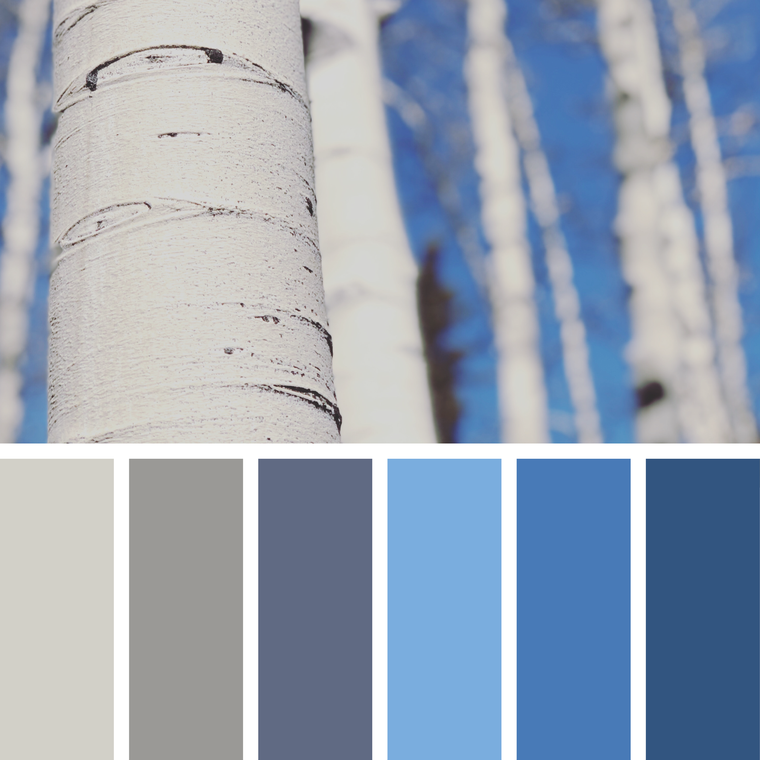 COLOR+TREND EXPERIMENT-01.png