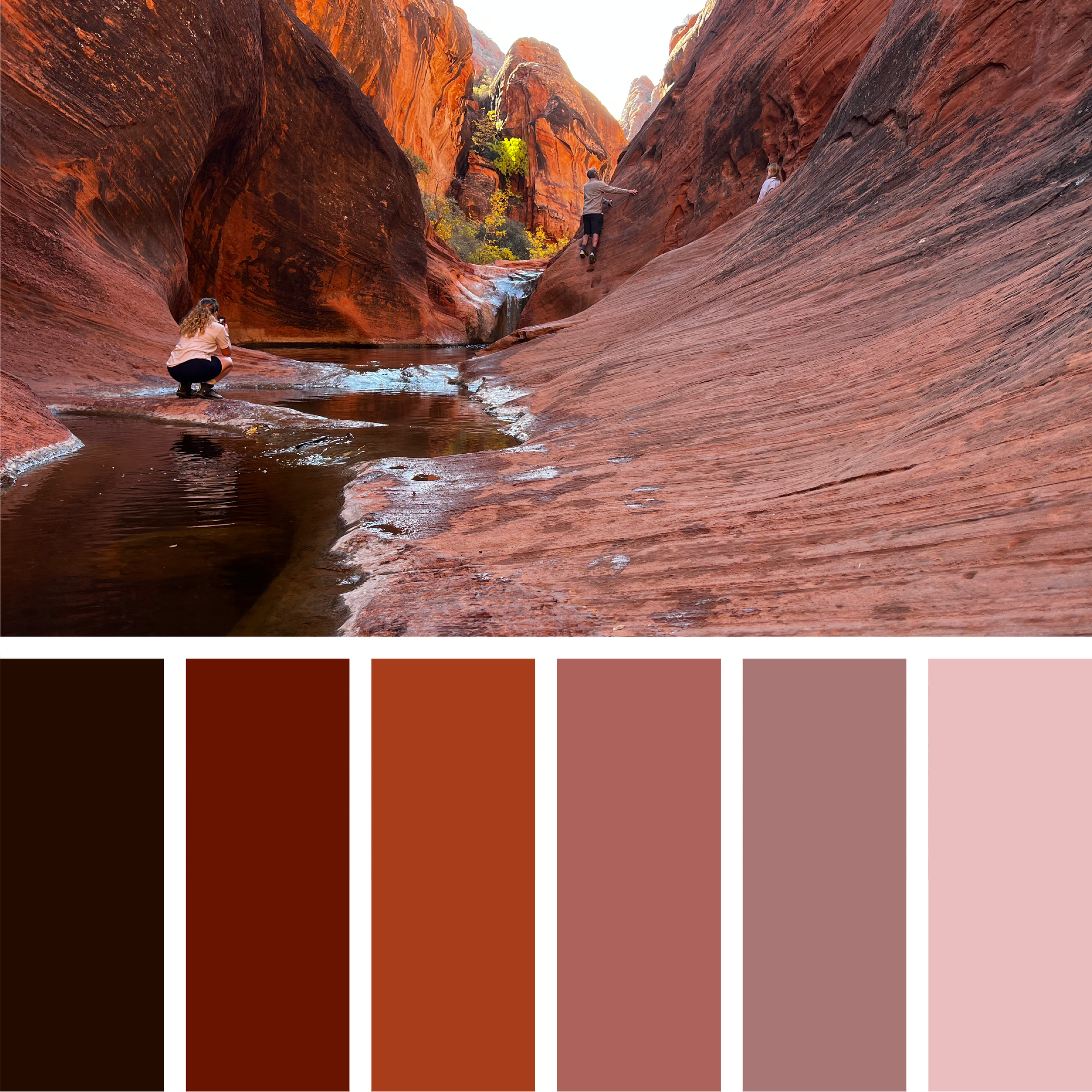 COLOR+TREND EXPERIMENT-07.png