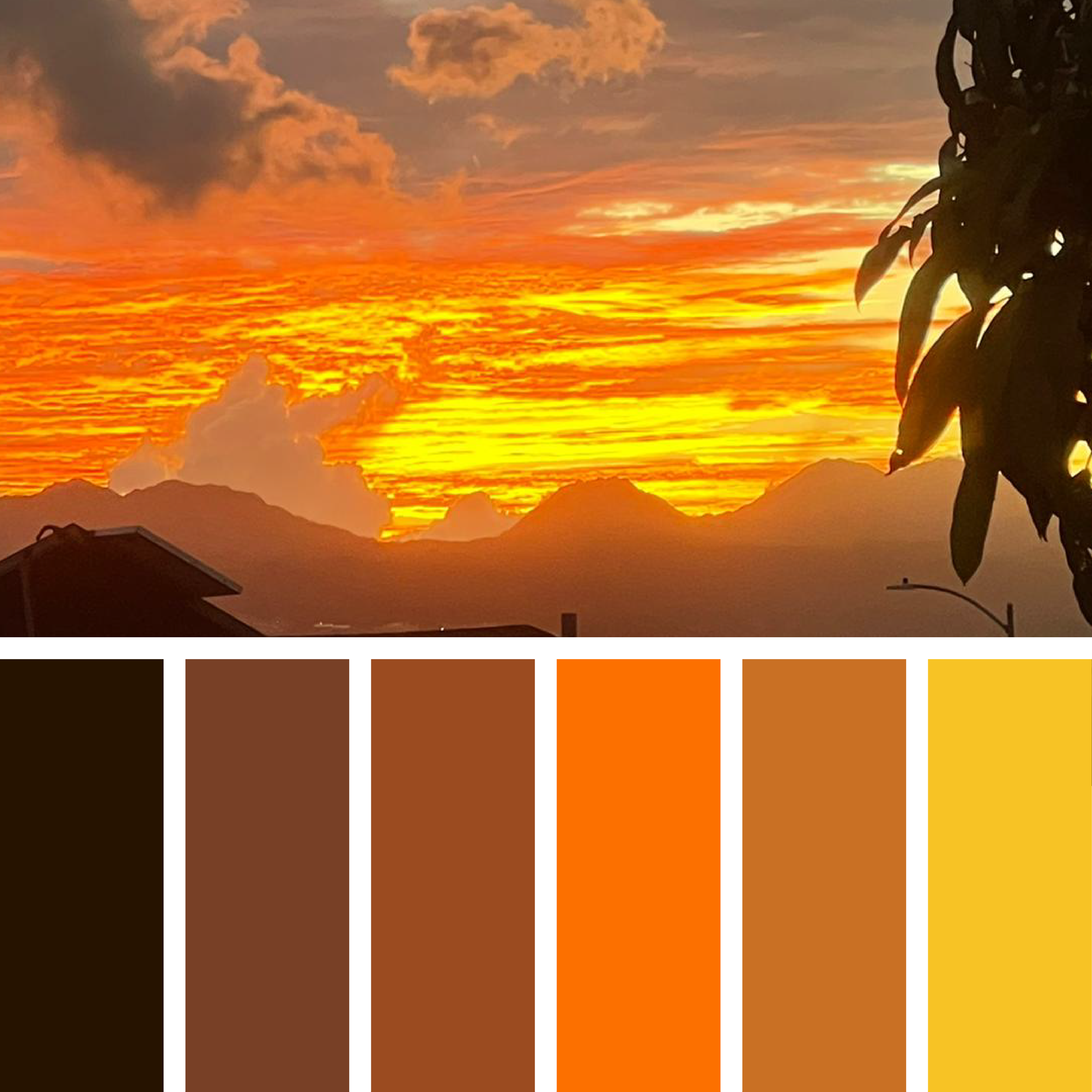 COLOR+TREND EXPERIMENT-05.png