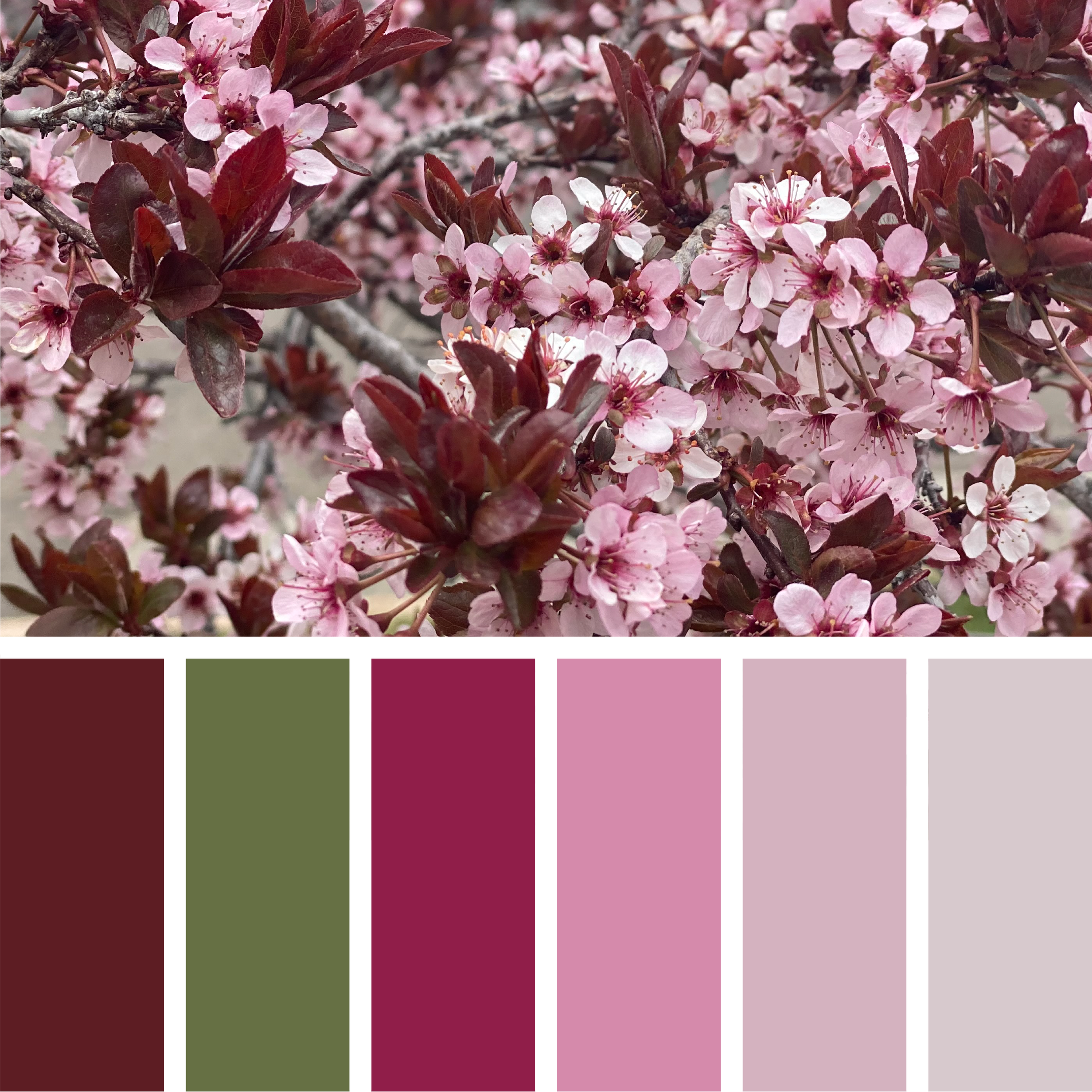 COLOR+TREND EXPERIMENT-03.png