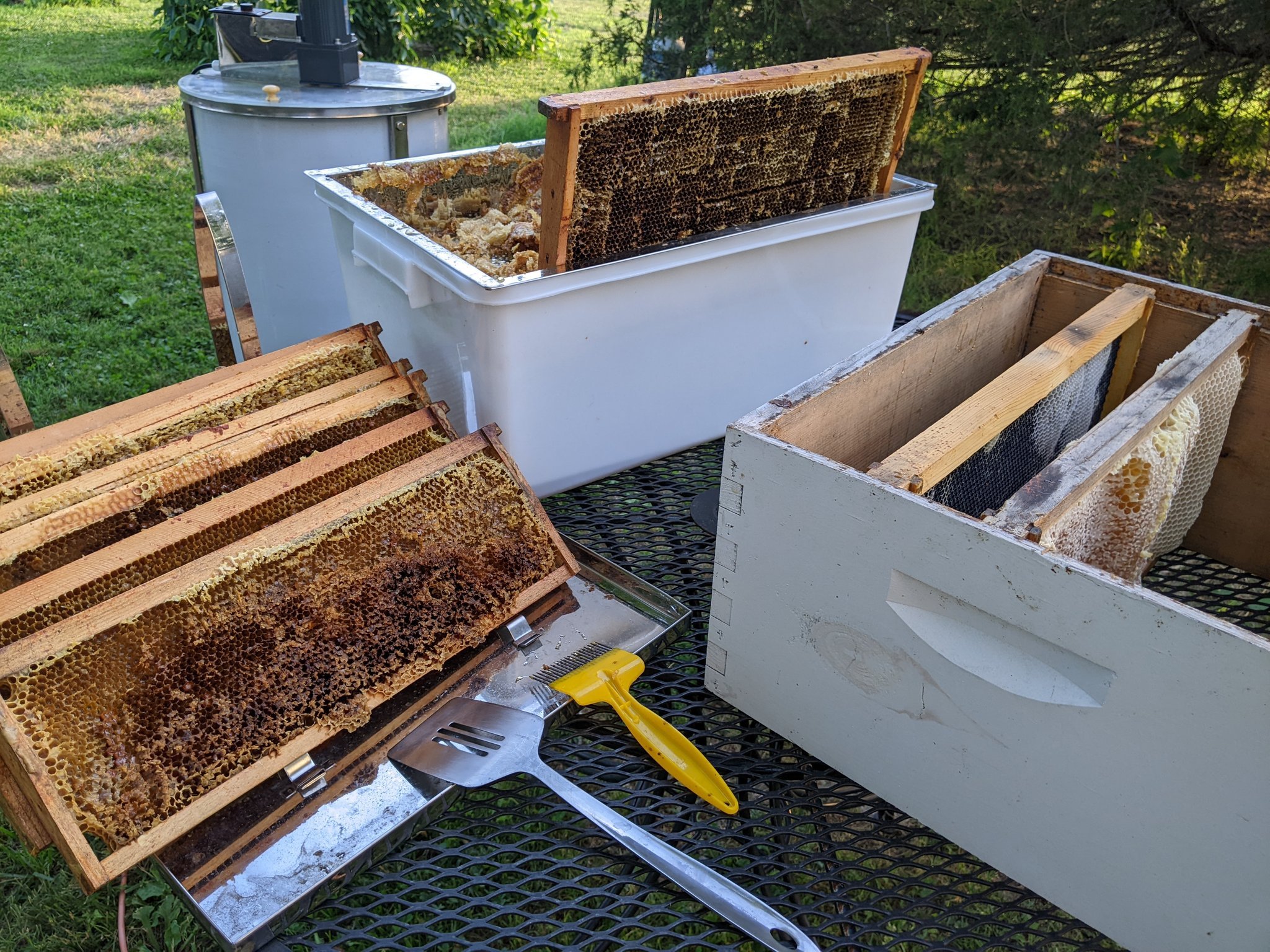 Honey Time.jpg