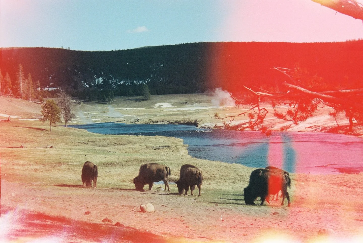 &mdash;&mdash; film from @yellowstonenps + @grandtetonnps ⛰️

Instead of our normal straight drive back to Washington from school, in May 2024 @brandonlesterx and I decided to hit some National Parks and take the scenic route 😏

After our visit to Y