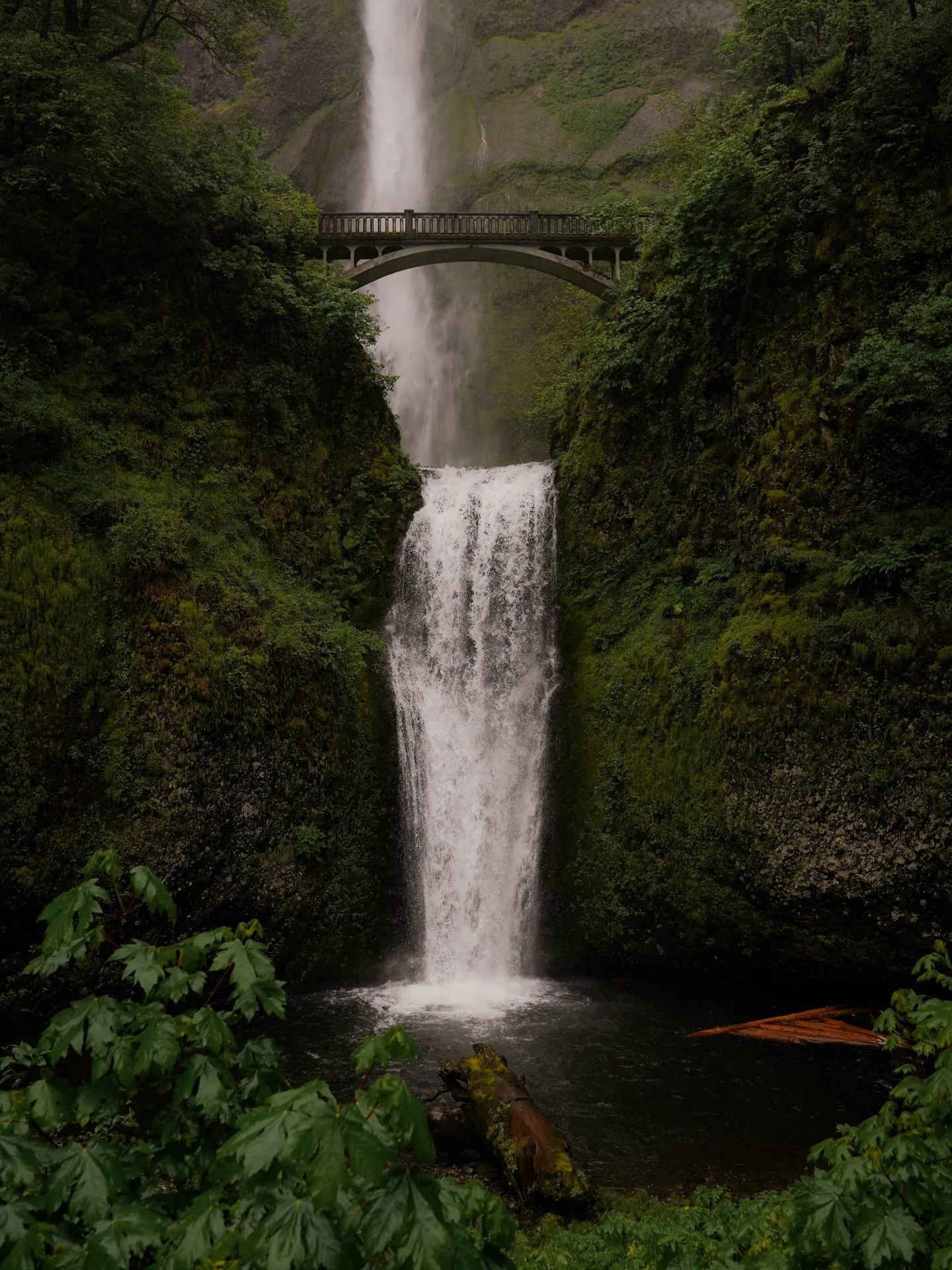 &mdash;&mdash; moody or sunny? ☁️🌞

No matter the weather, Multnomah Falls is a stunner! If you do one nature-y thing around Portland - make it this one 1000%. One of these days, I&rsquo;ll hike to the top&hellip;

📍Portland, Oregon

#naturephotogr