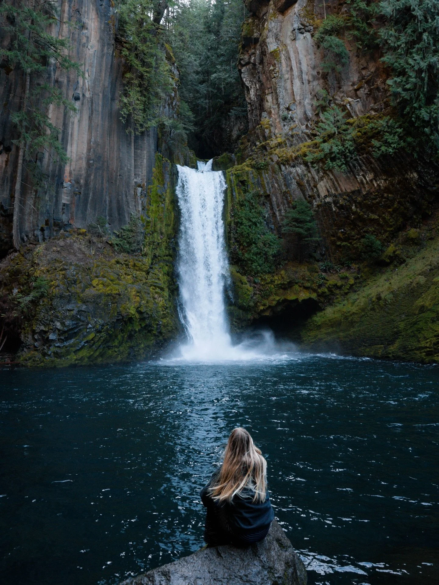 &mdash;&mdash; I 🩵 oregon :)

The whole time we were in Oregon (9 days), we got soo lucky with the weather, sunny and blue skies every single day, with is amazing for February. This day was no different and the sun streaming through the trees above 