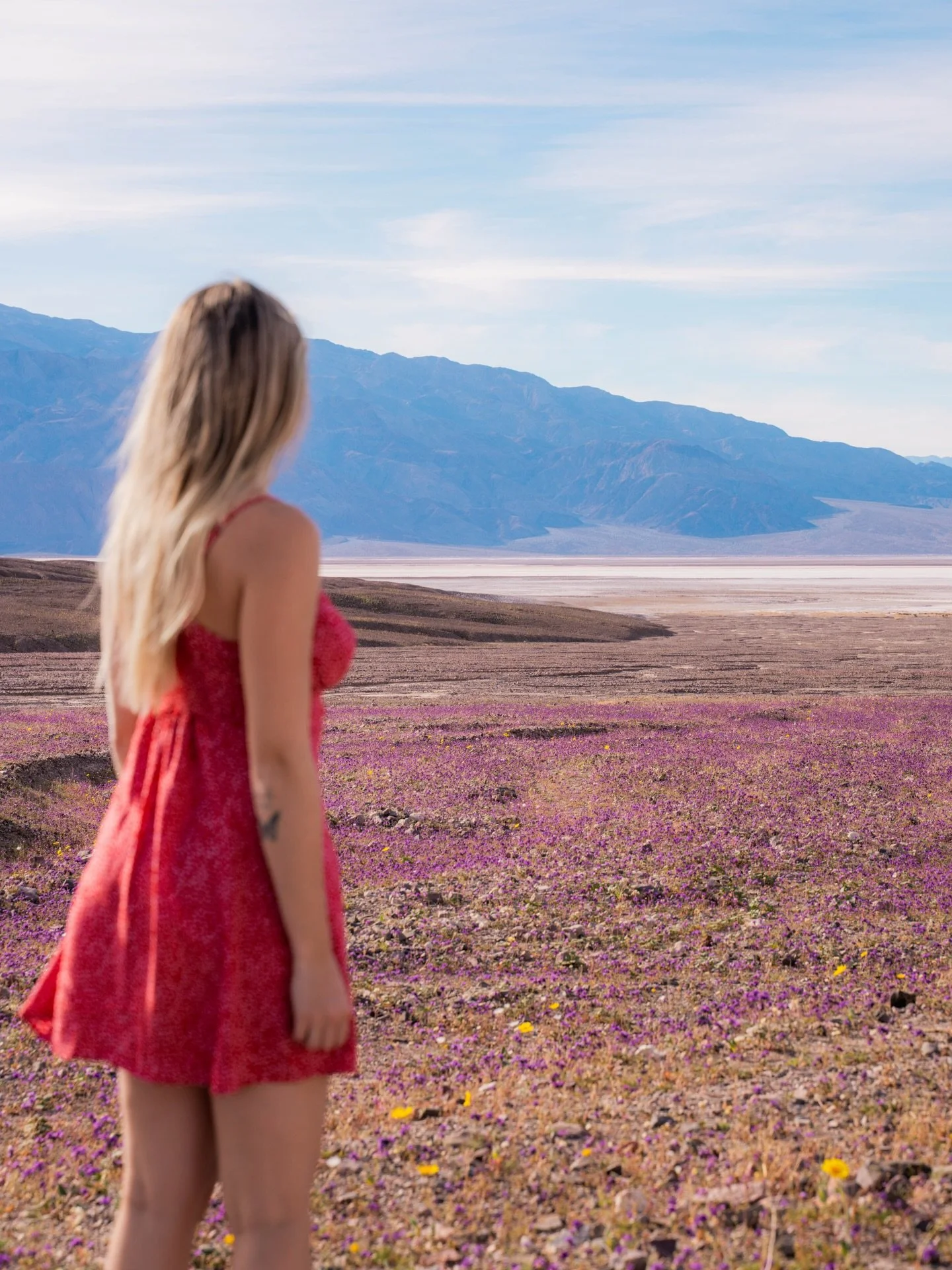 &mdash;&mdash; the best surprise: SUPERBLOOM! 🌸🌼

📍Death Valley National Park

#springhassprung #naturephotography #usaroadtrip