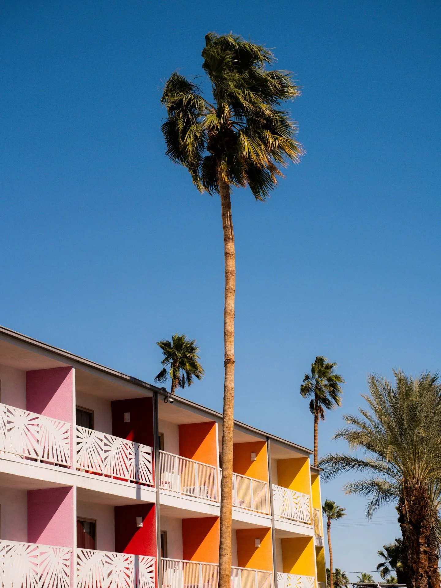 &mdash;&mdash; if the rainbow had a zip code 🌈

Palm Springs is gloriously stuck in the 60&rsquo;s and I had so much fun driving around the Indian Canyons neighborhood for a few hours just to photograph these gorgeous homes! Have a favorite? I think