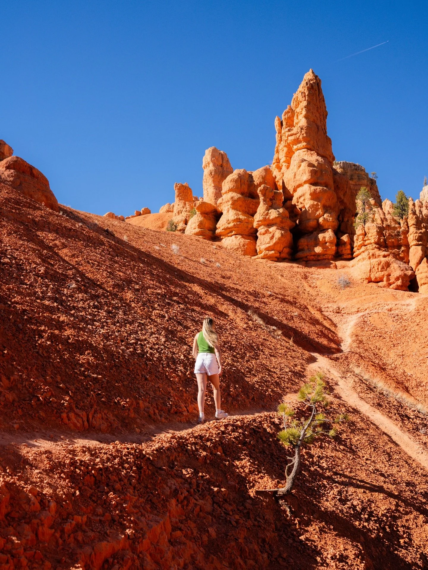 &mdash;&mdash; bryce canyon&rsquo;s underrated sibling 

Can we talk how freaking BLUE the sky was this day? No saturation added at all. The perfect day to run around these hills. Swipe to the end for a lil iPhone video 💙

📍Red Canyon

#southernuta