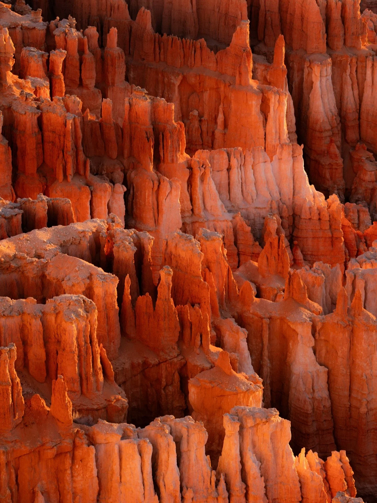 &mdash;&mdash; an orange creamsicle sunrise at Bryce Canyon 🍊🌅🧡

My new zoomie lens (70-200mm) was ~perfect~ for these shots and getting up at 5:30 and waiting in the dark for an hour was so worth it for this perfect golden sunrise. Sigh. So dream