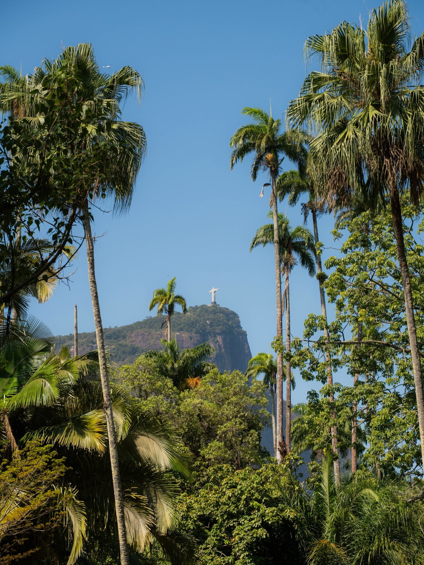 &mdash;&mdash; an afternoon in a brazilian botanical garden 🌺🇧🇷

Get ready for some ~very~ overdue Brazil content!! With going straight to Puerto Rico, getting engaged, and then starting our USA roadtrip right after, the Brazil posting just got pu