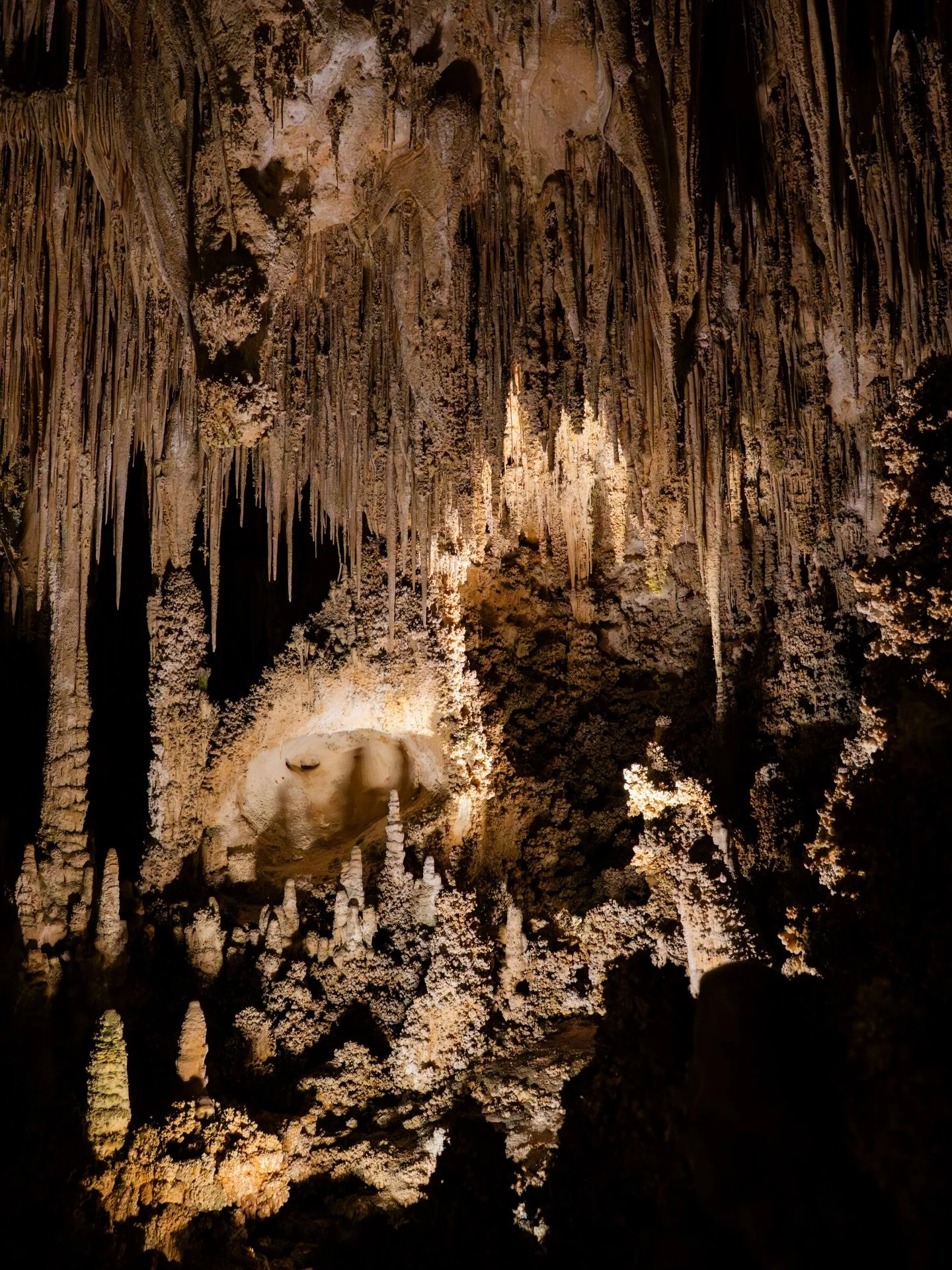 &mdash;&mdash; everybody say hi to one of my favorite national parks!! 

Carlsbad Caverns features over 119 caves, including the massive Big Room, which is the largest single cave chamber by volume in North America. This is our second time here and i