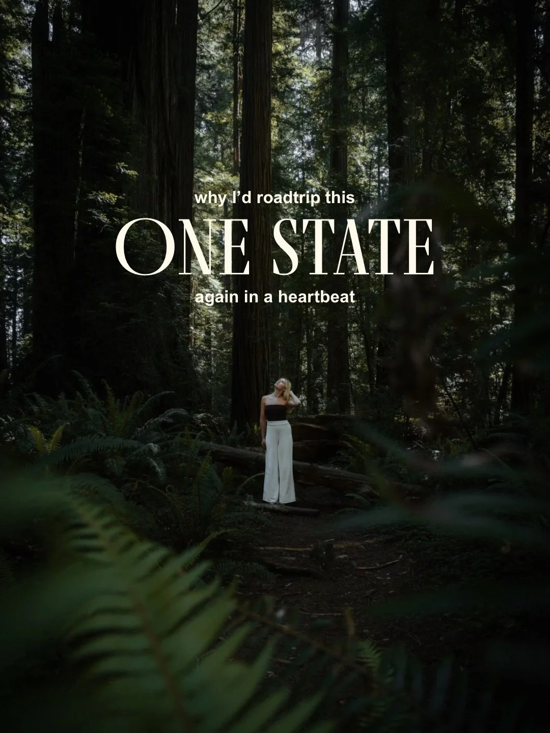 &mdash;&mdash; I&rsquo;ve roadtripped this state 4 times and I can attest that it does not get old 🌲🌧️⛰️🌊

Any stops I need to add on my next one?

📌 Save for future travels!

#pacificnorthwest #naturephotography #usaroadtrip
