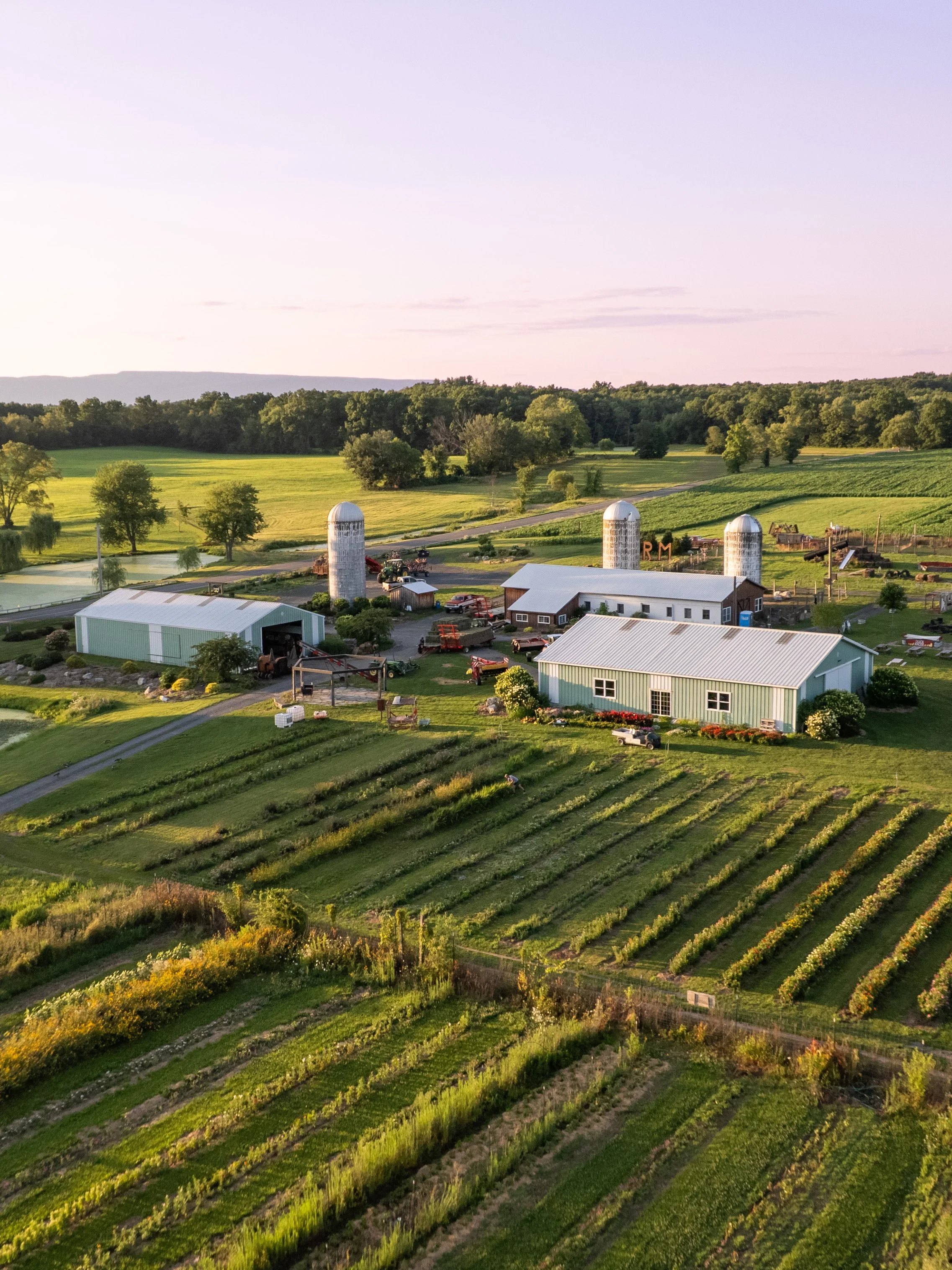 DJI_0717-2.jpg