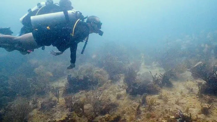 MONDAY MOTIVATION: LETS DIVE DEEP! 

Last summer in Cancun, I did something that honestly pushed me way outside my comfort zone&hellip; I went scuba diving for the very first time. 🤿🐠

Before the dive, I took a quick intro course that day and felt 