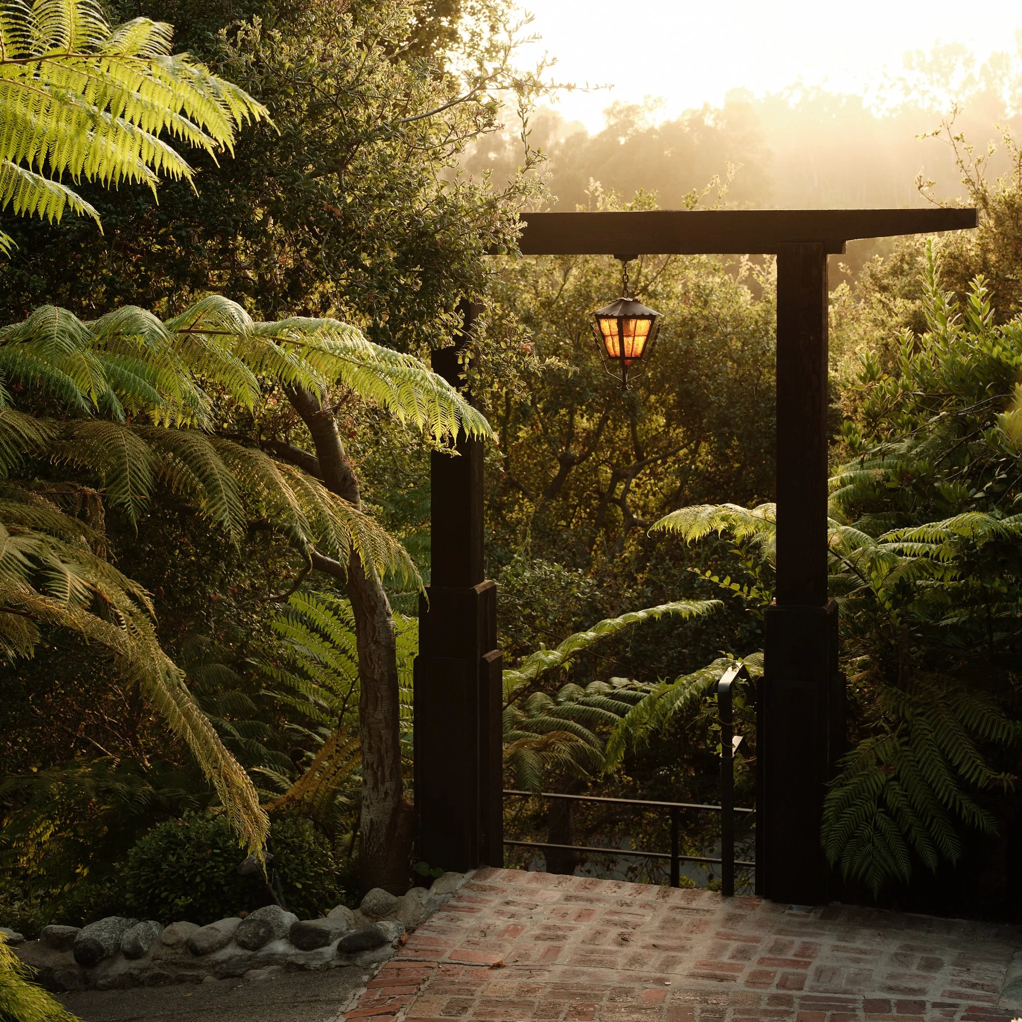 37 Haldeman_©NTimm_LowRes_01_.jpg