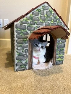 A gray and white cat with blue eyes sitting inside a small decorative stone and wood house with a brown roof.