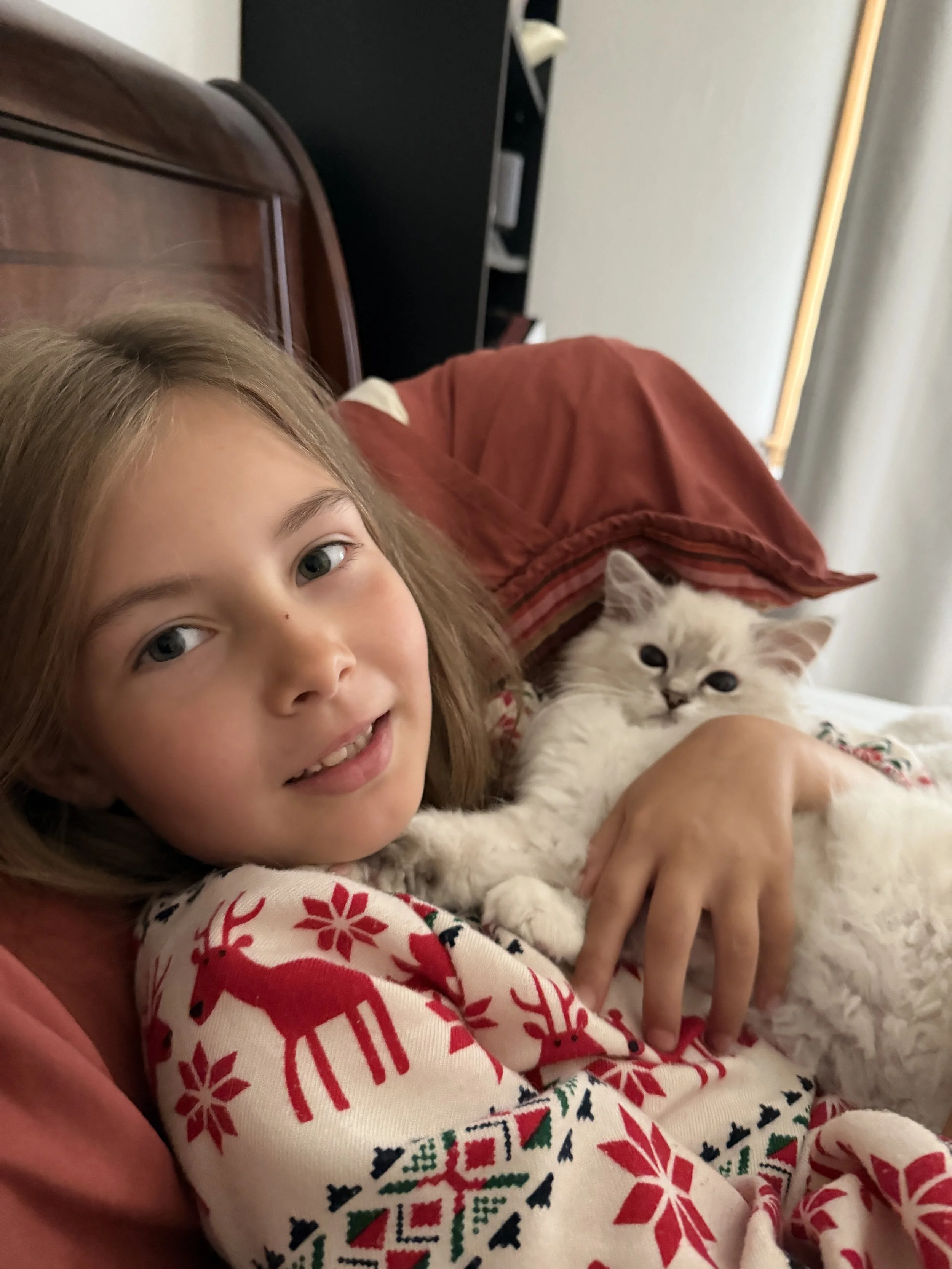 A young girl with light brown hair and blue eyes lying on a couch, wearing a Christmas-themed sweater with red reindeer and snowflakes, holding a fluffy light-colored kitten with dark eyes, both appearing relaxed and cozy.