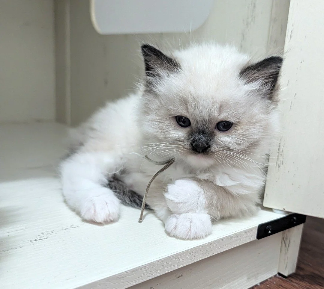 3898.jpg