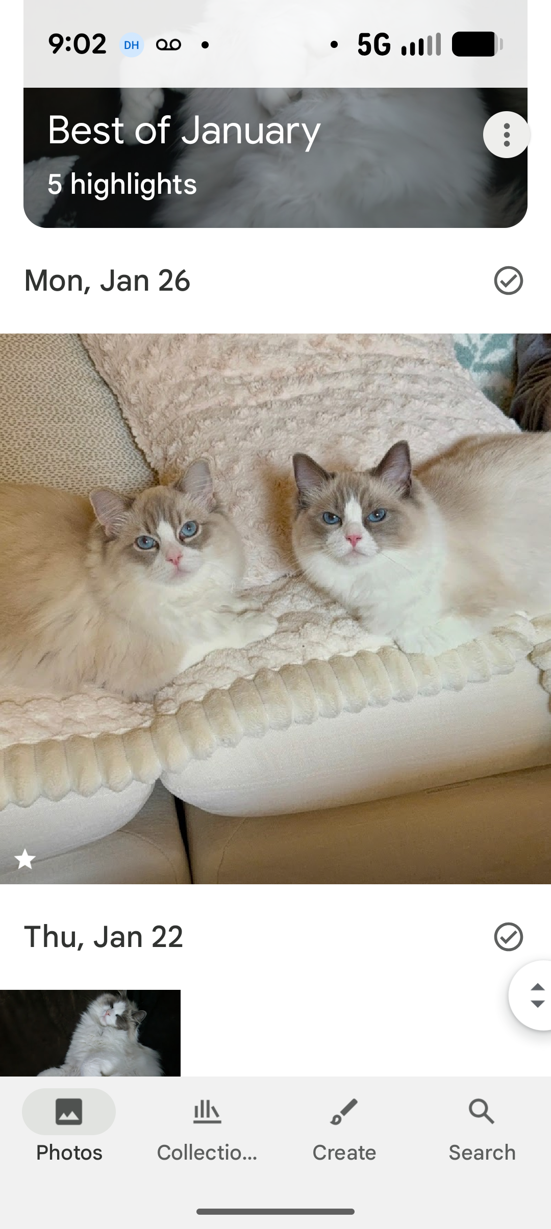 Two fluffy Ragdoll cats with blue eyes laying on a soft beige blanket on a couch.