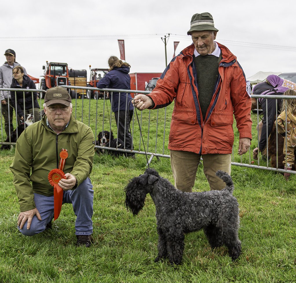 8. Overall Dog Show Winner James Brady, Mulligar awith Judge Kevin Hannon..jpg