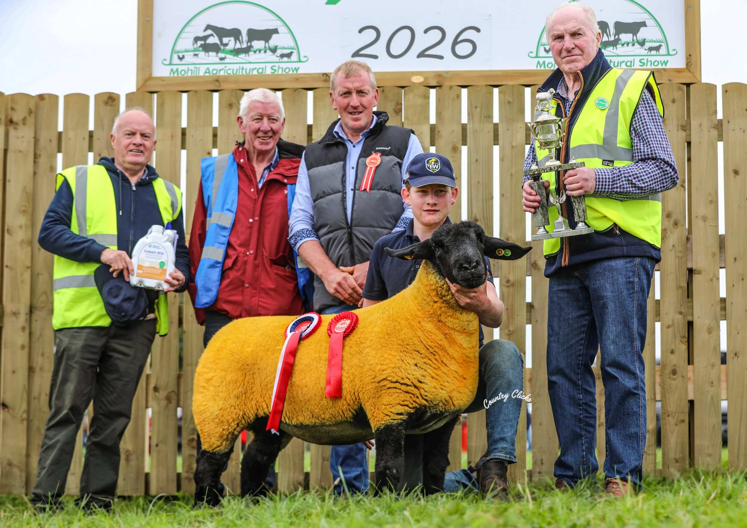 2.ILEO. Champion Sheep of the Show.jpg.jpeg